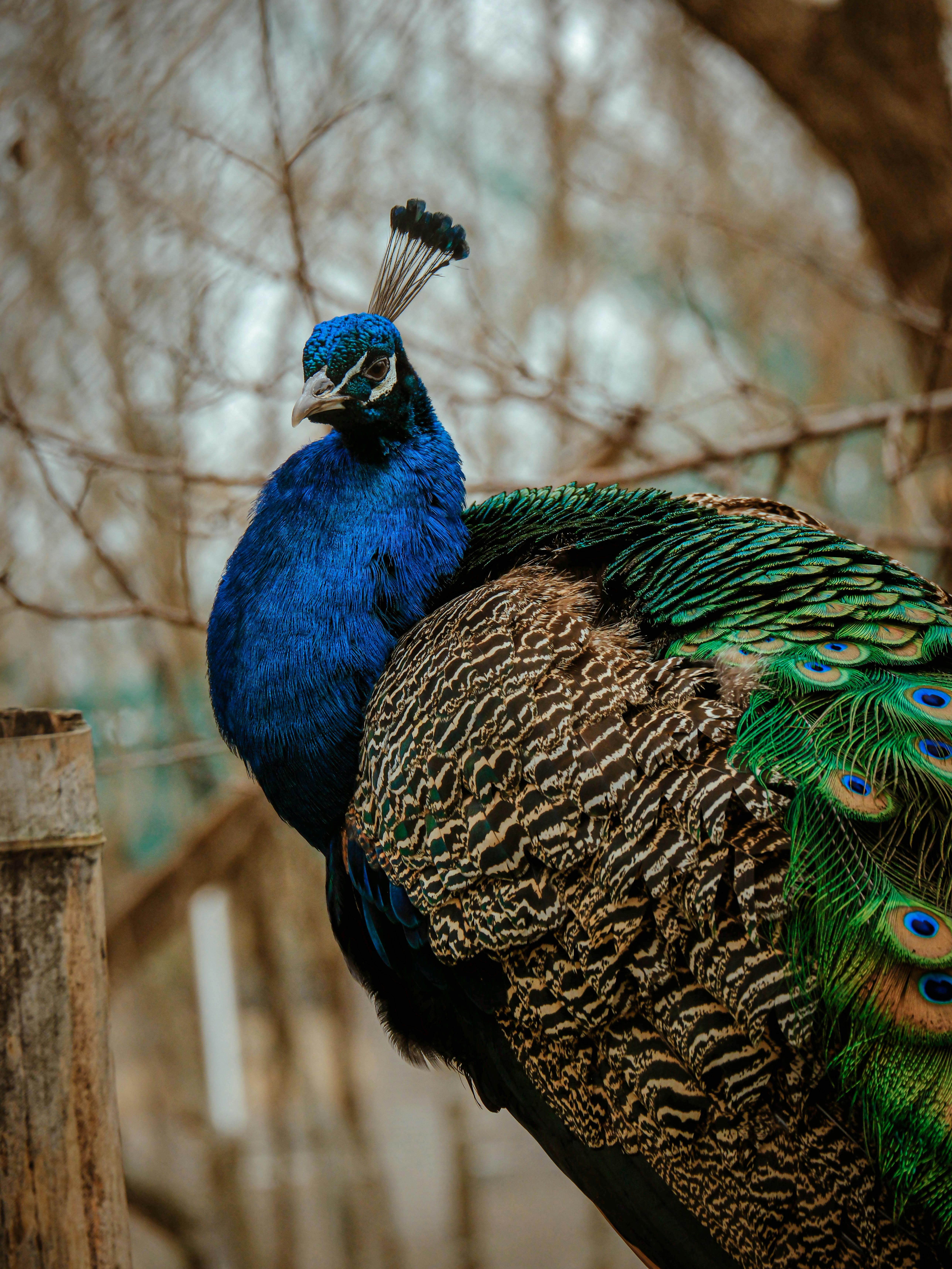 免费 23mmcamera, china street, fuji camera 的 免费素材图片 素材图片