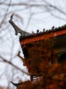 Traditional Asian Roof with Pigeons Perched