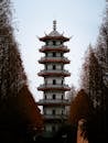 Ancient Pagoda Amidst Autumn Trees