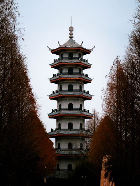 A beautiful pagoda tower framed by tall autumn trees under a clear sky, creating a serene setting.