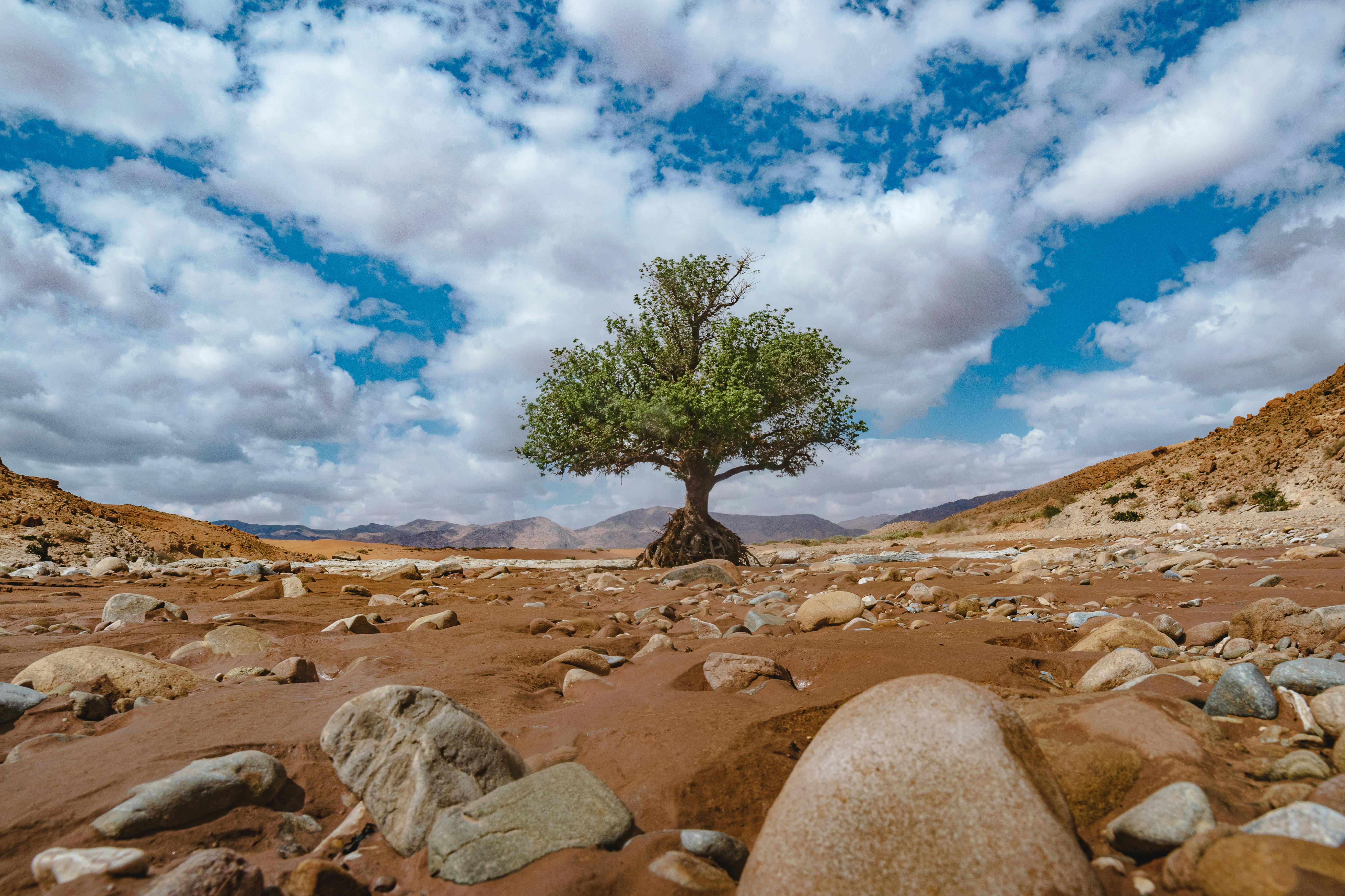 免费 不受干扰, 乾旱, 分子 的 免费素材图片 素材图片