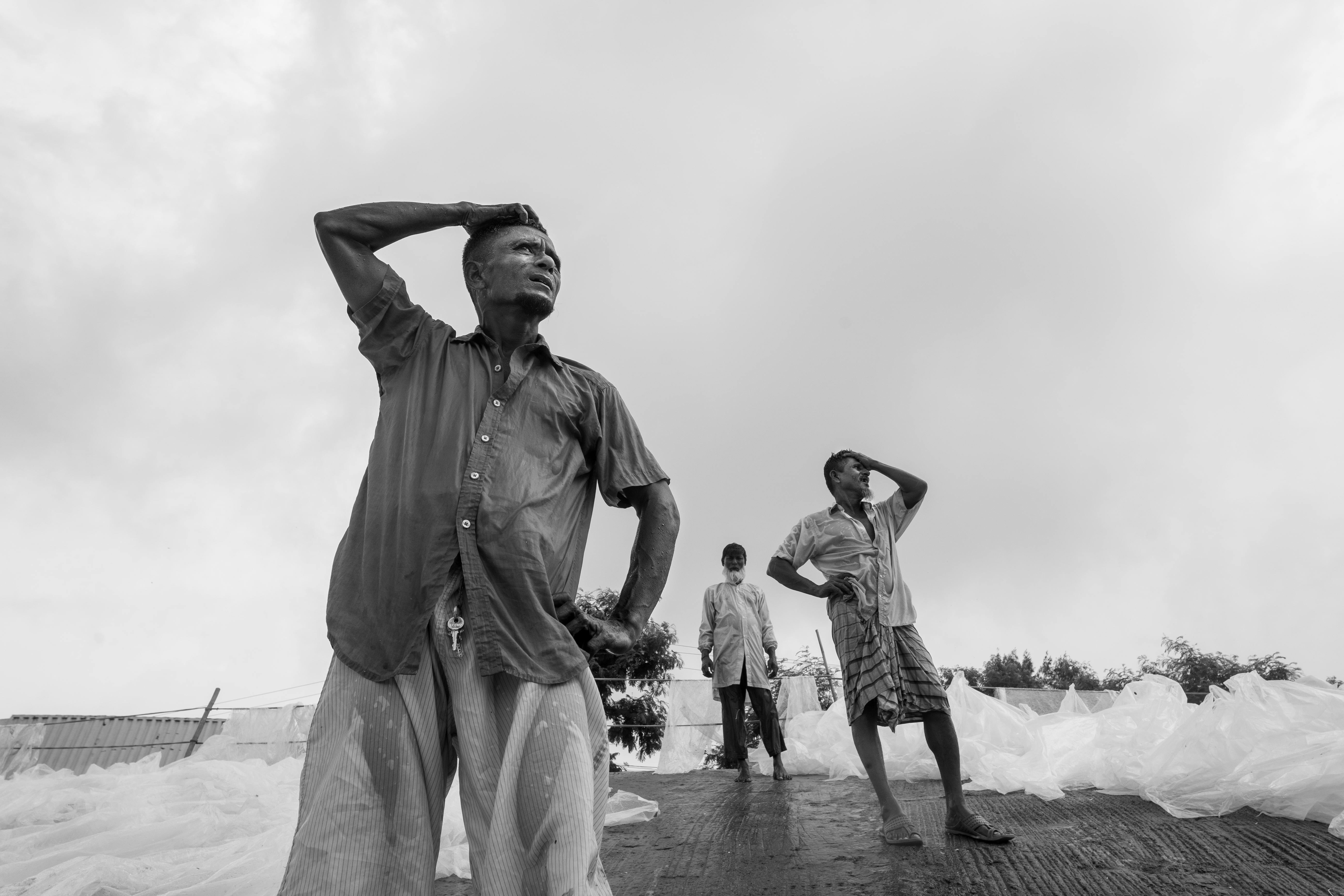 Безкоштовне стокове фото на тему «будувати, вираз, відданість справі» стокове фото