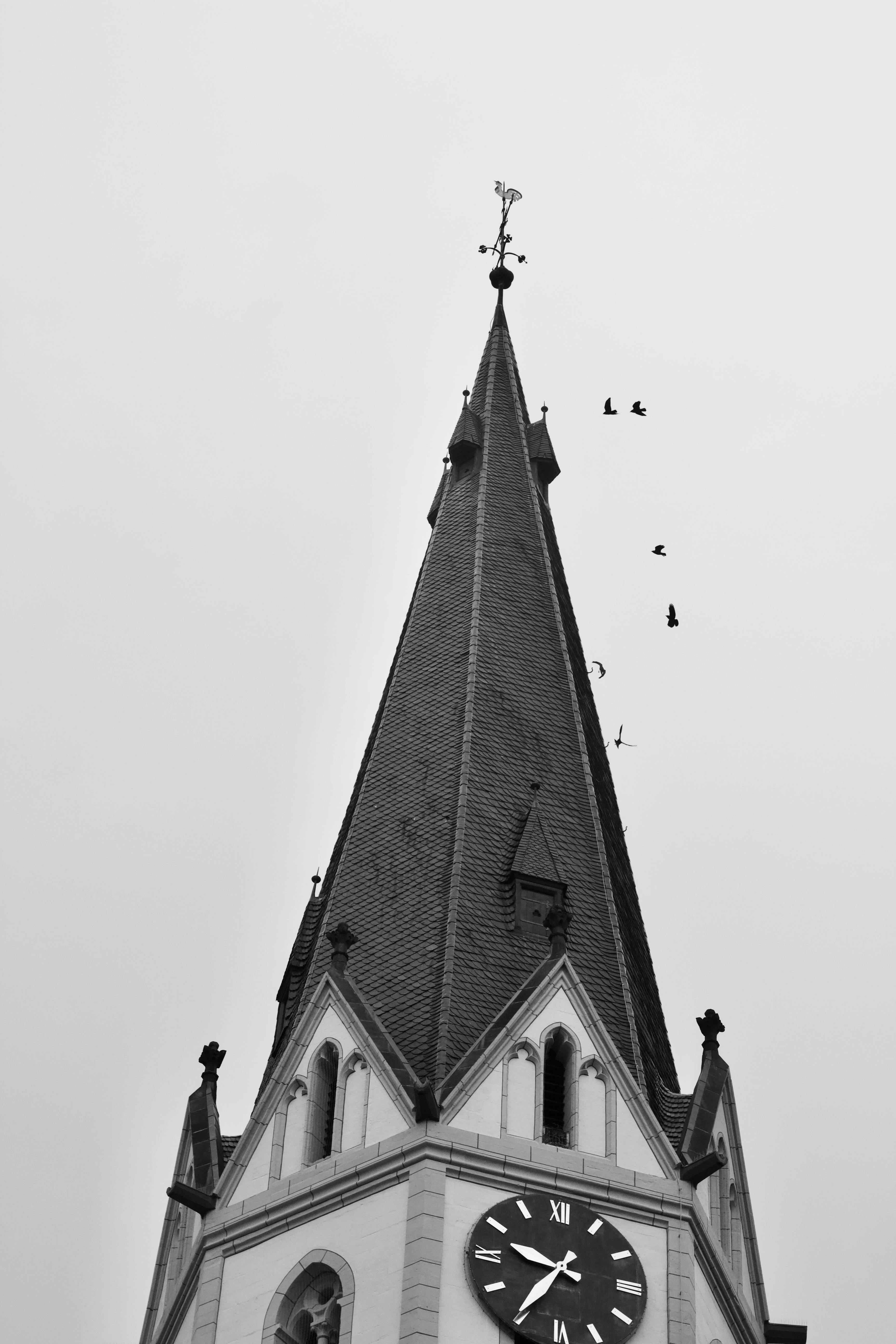 Безкоштовне Чорно-біле фото церковного шпиля з годинником та птахами в польоті. стокове фото