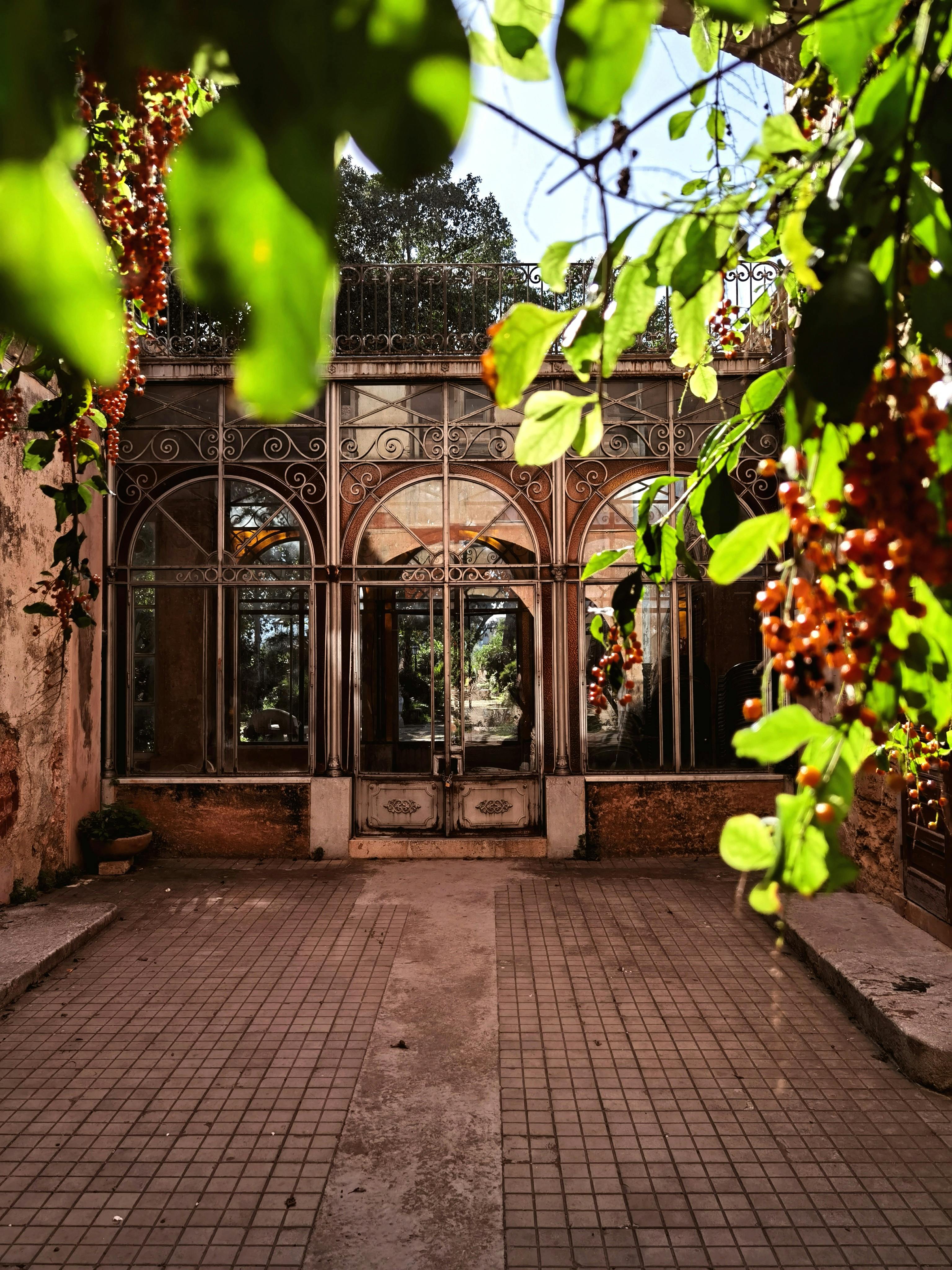 무료 화려한 철제 아치가 있는 매력적인 옛 온실이 울창한 녹음으로 둘러싸여 있습니다. 스톡 사진