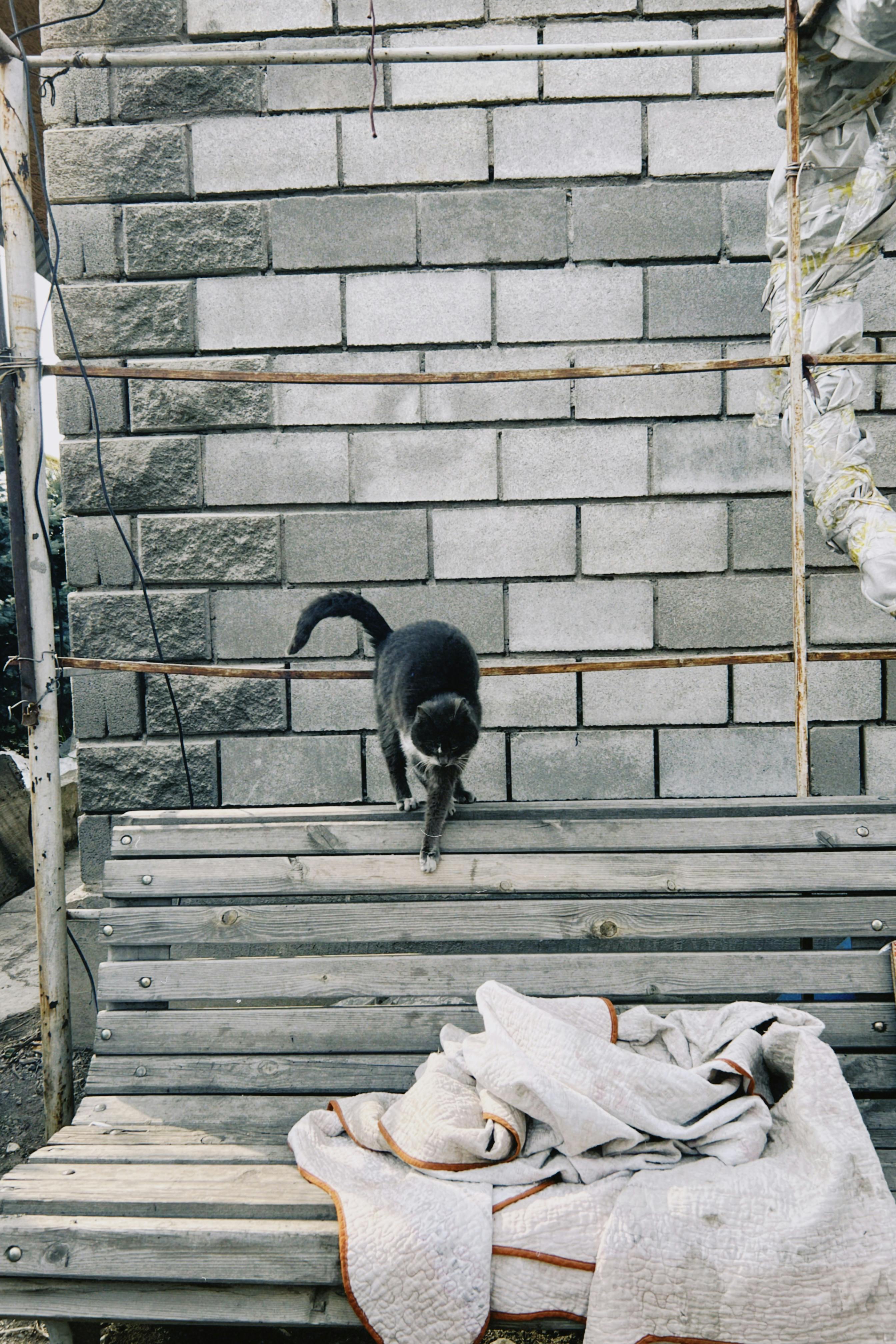 Безкоштовне Чорний кіт граціозно спускається на дерев'яну лавку біля цегляної стіни в Талгарі, Казахстан. стокове фото