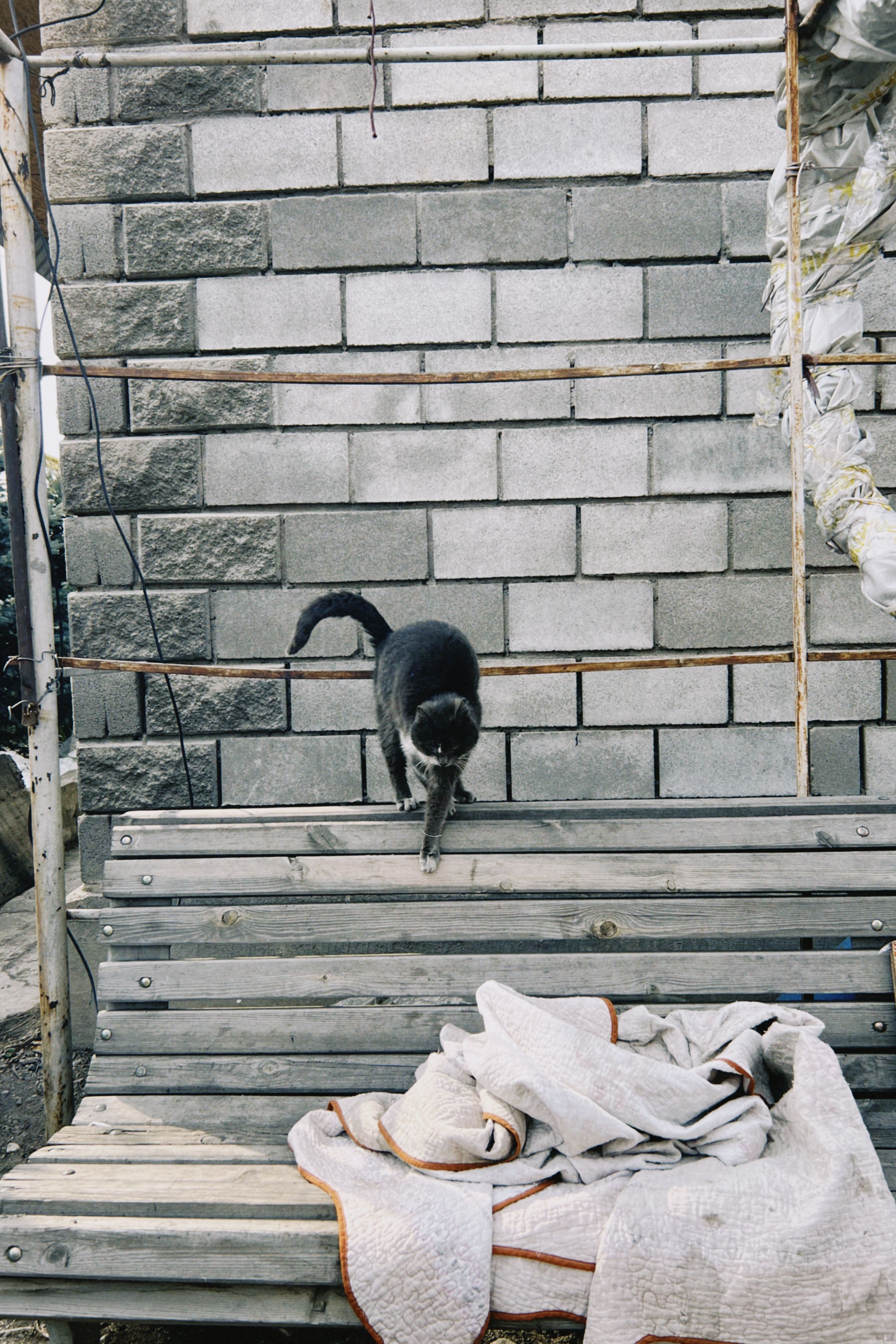 Black Cat on Wooden Bench by Brick Wall · Free Stock Photo