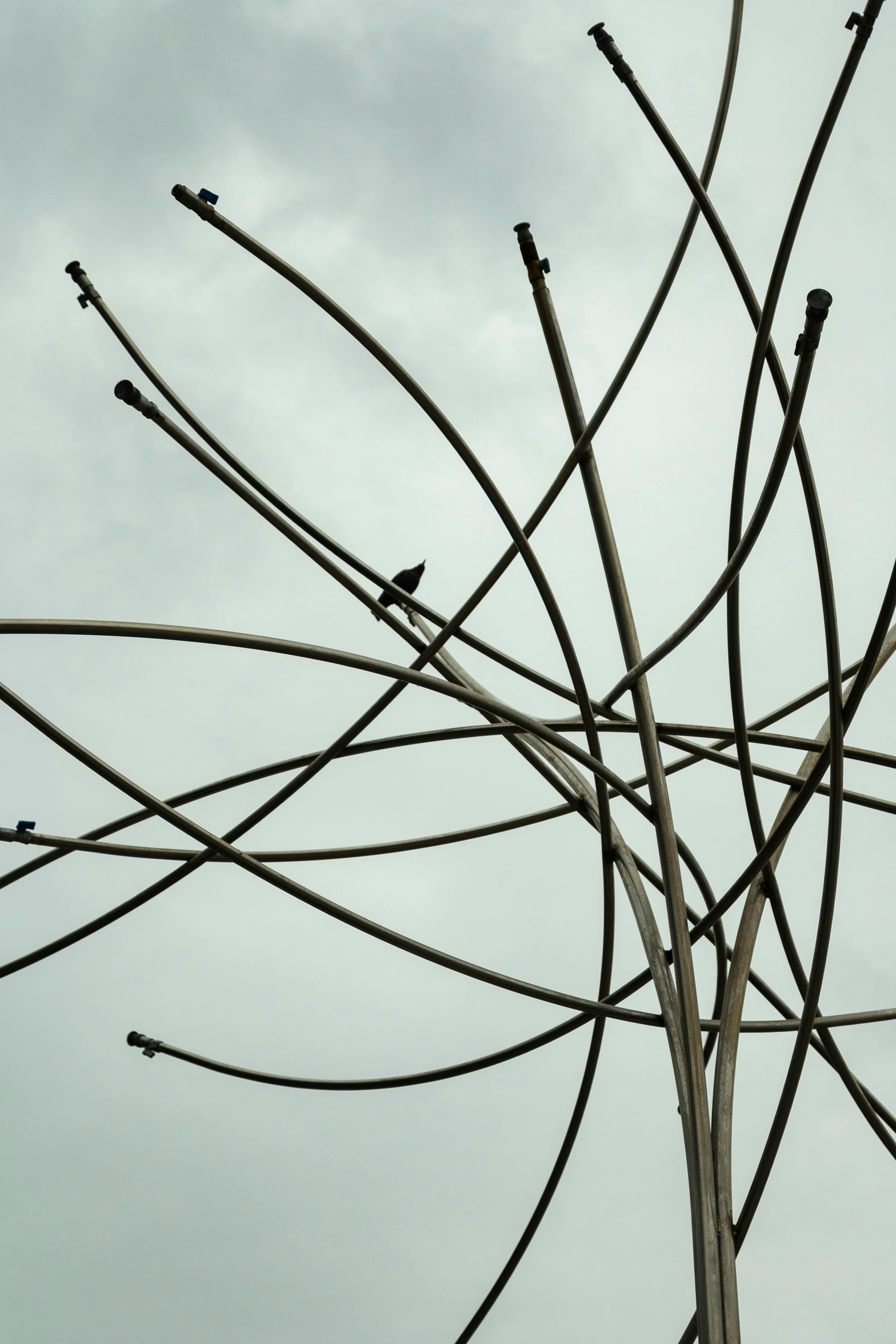 ingyenes Művészi fémszobor, amely faágakat idéz egy hangulatos, borult égbolt hátterében. Stockfotó
