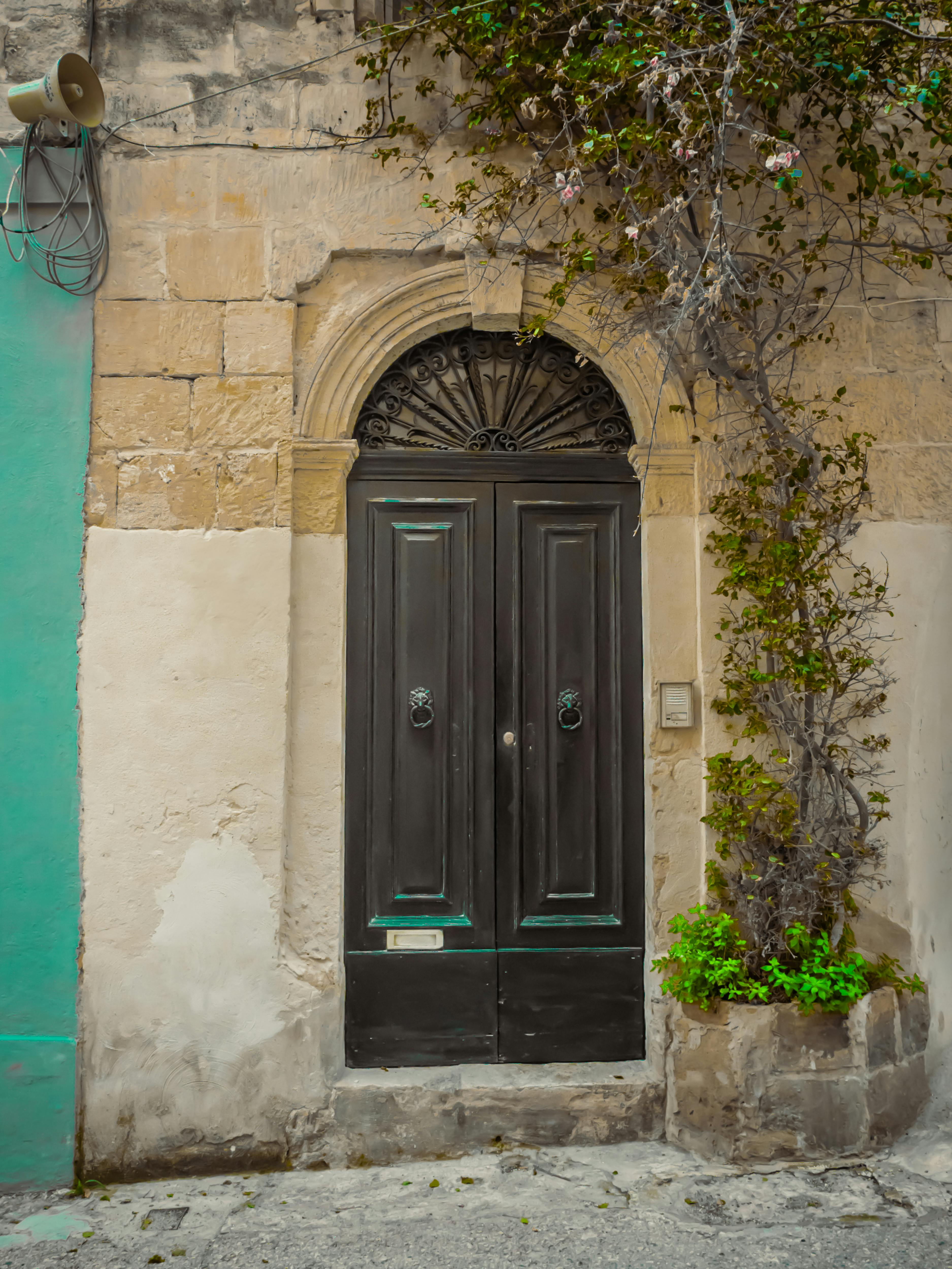 免费 一扇质朴的木门，周围环绕着石头和常春藤，非常适合旅行或建筑主题。 素材图片