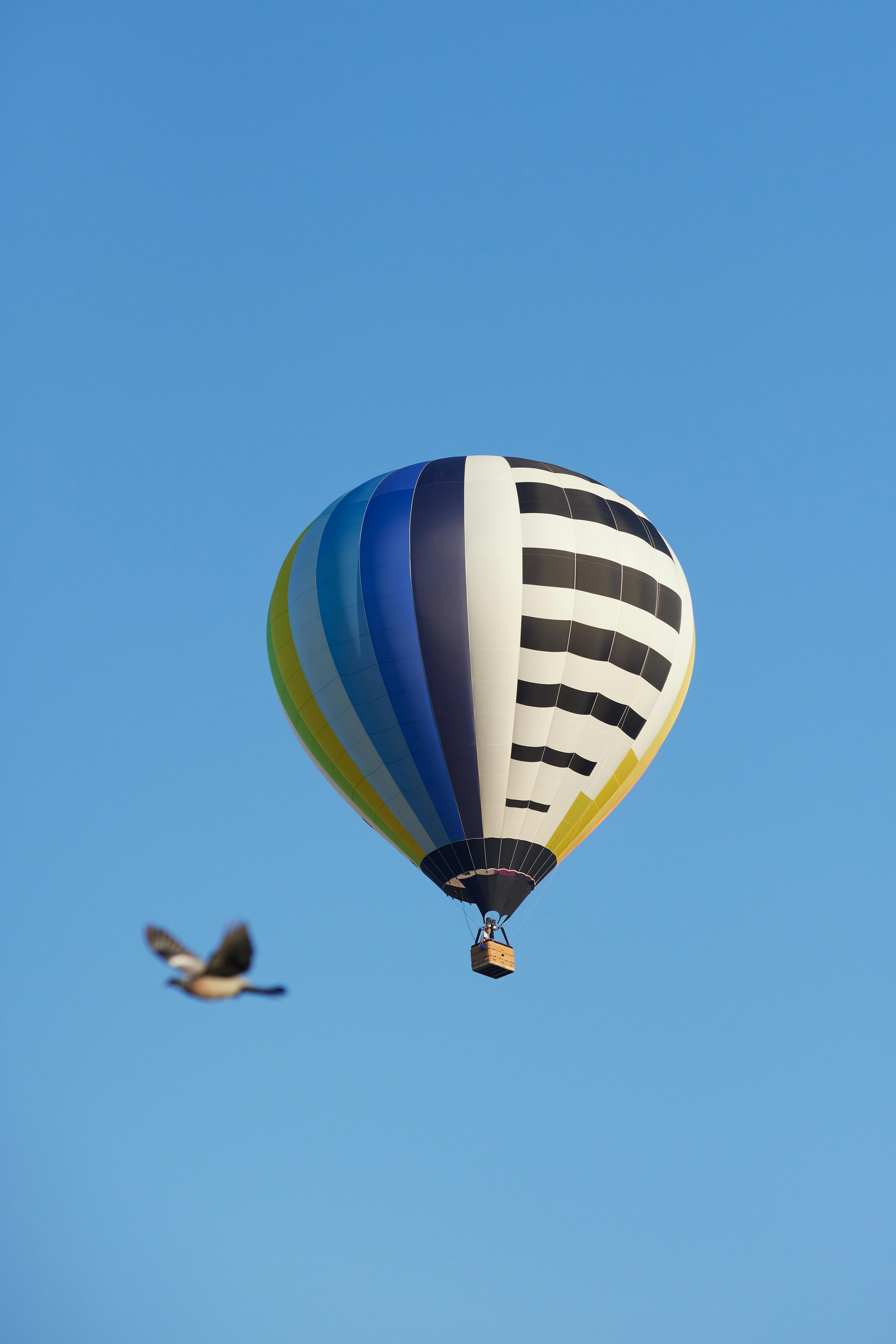 ingyenes Élénk hőlégballon száll egy madár mellett a tiszta kék ég alatt, a szabadságot és a kalandot szimbolizálva. Stockfotó
