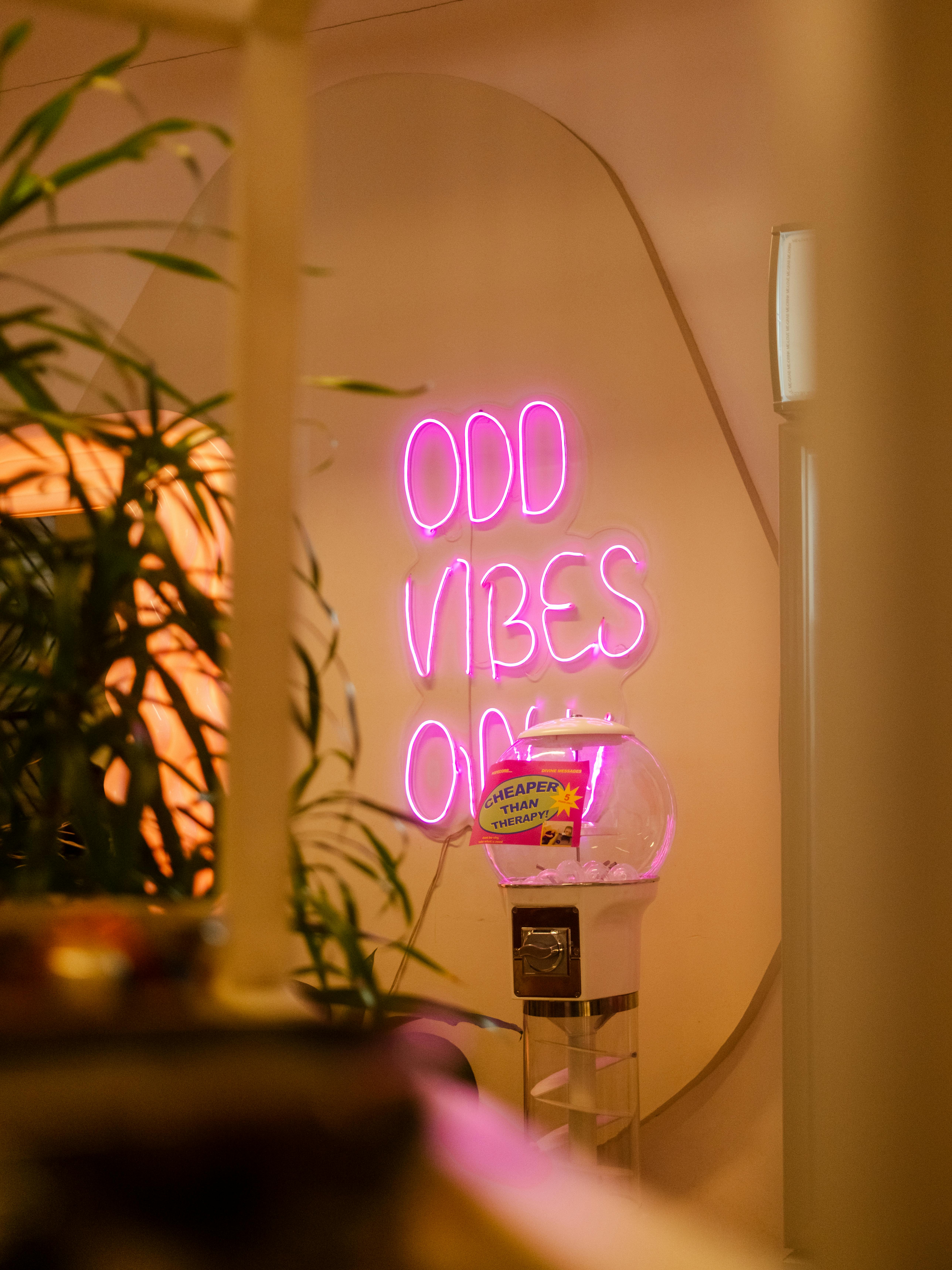免费 舒适的房间里摆放着室内植物，一块醒目的霓虹灯招牌上写着“只欢迎奇特氛围”。 素材图片