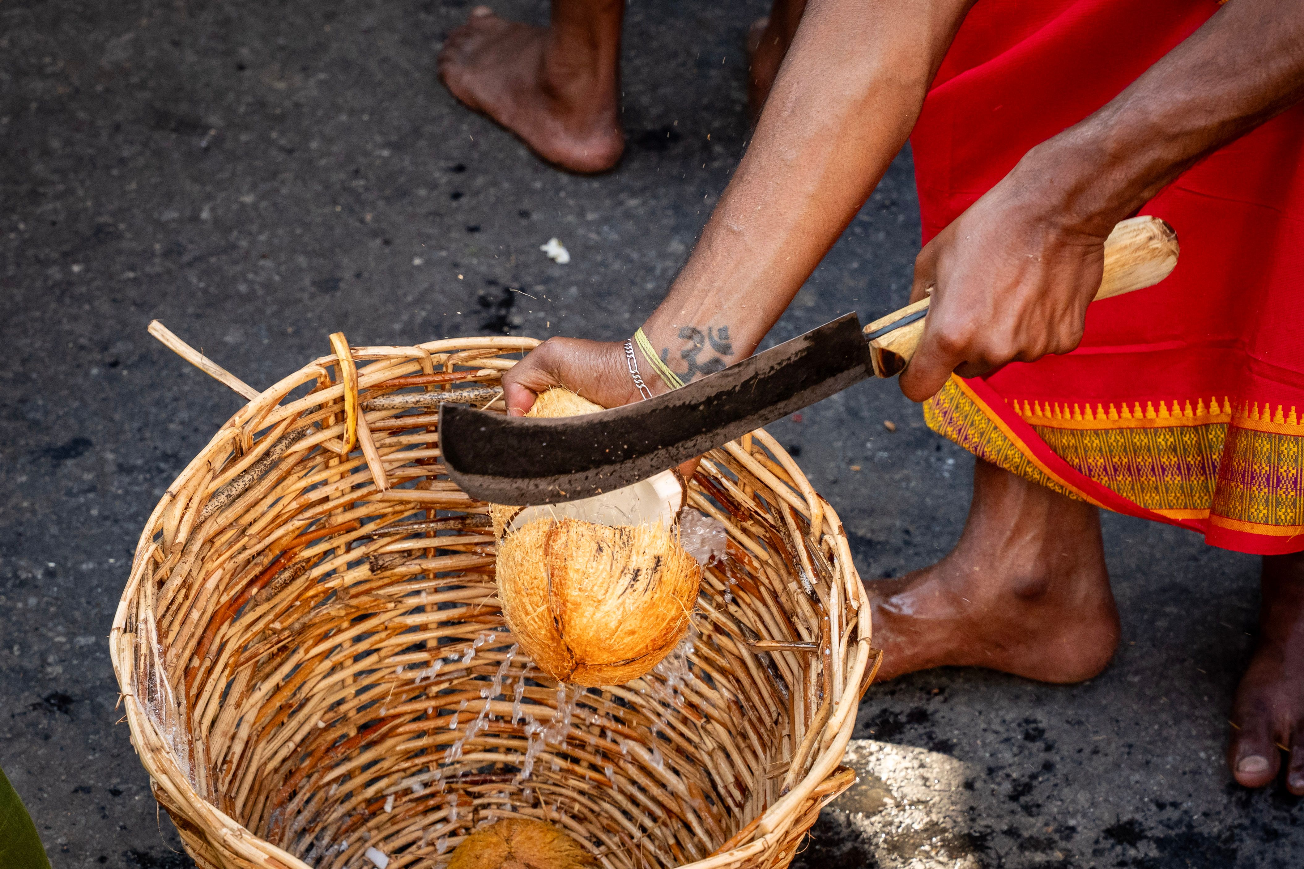 Traditional Coconut Cutting Ritual with Machete · Free Stock Photo