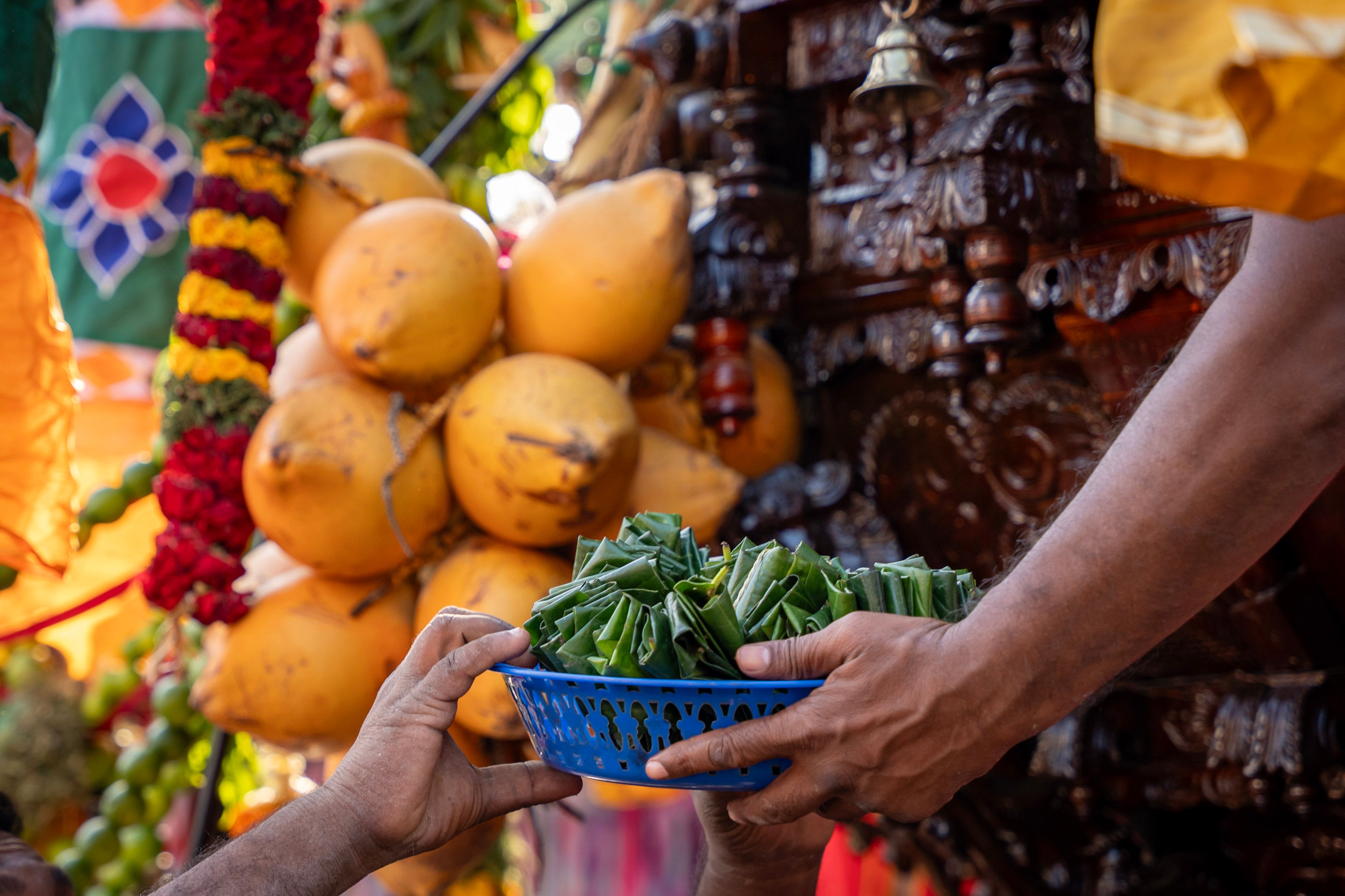 Traditional Festival Offering with Coconuts and Leaves · Free Stock Photo