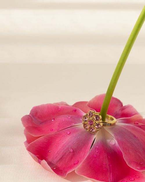Free A pink gemstone ring beautifully displayed on a dewy, vibrant pink petal creating a luxurious and elegant look. Stock Photo