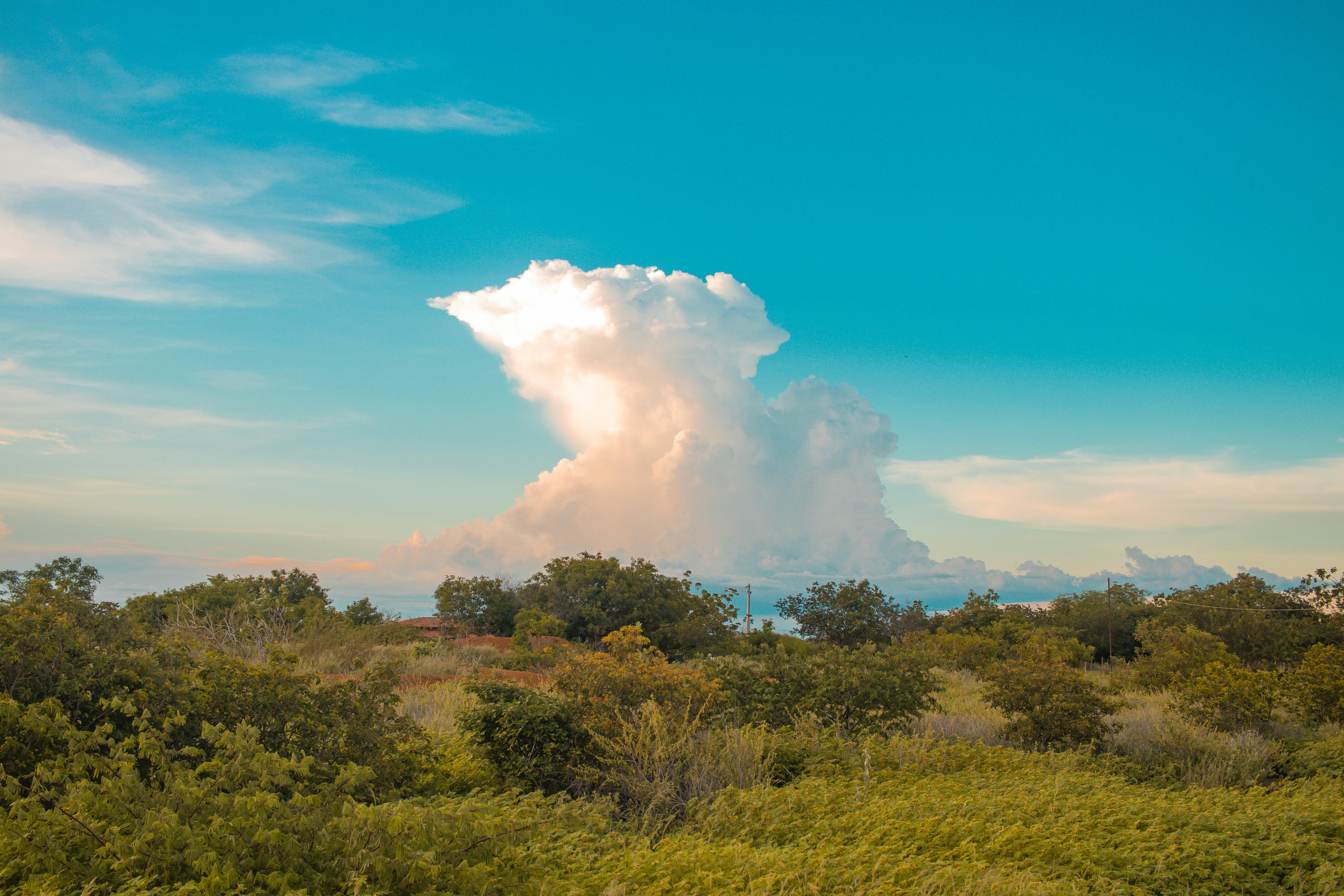 Zadarmo Nad sviežou zelenou krajinou pod jasne modrou oblohou sa týči mohutný oblak Cumulonimbus. Fotka z fotobanky