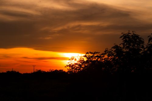 Free A vivid sunset sky with silhouetted trees creates a dramatic horizon. Stock Photo