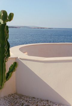 Peaceful Malta seaside scene with cactus against blue sea and sky. Ideal for travel and nature themes.