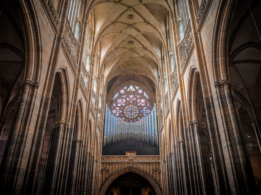 Majestic view of a Gothic cathedral interior featuring a grand organ and stained glass.