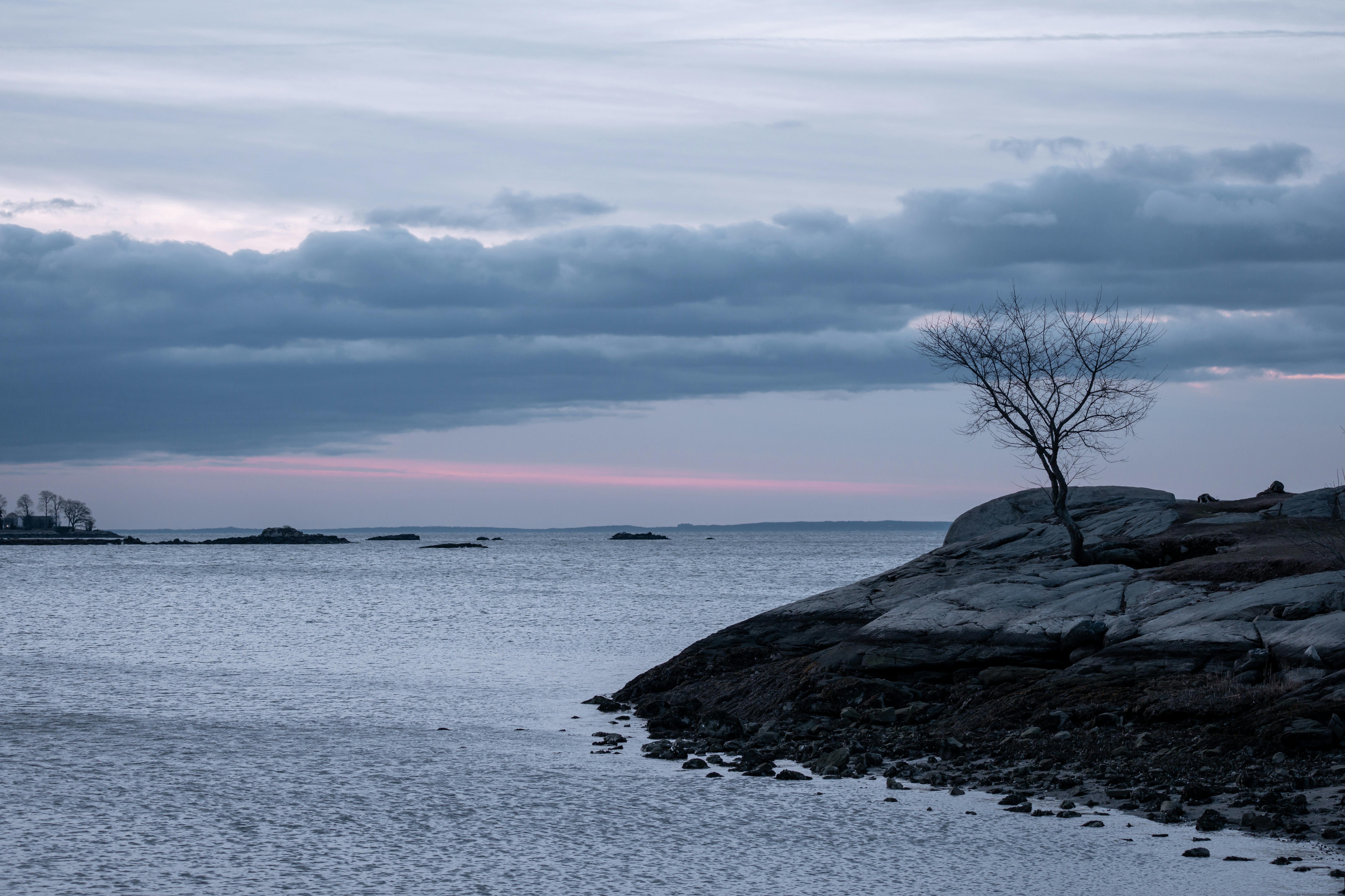 免费 康涅狄格州斯坦福德，科夫岛公园岩石海岸线和宁静水域的宁静黎明景色。 素材图片