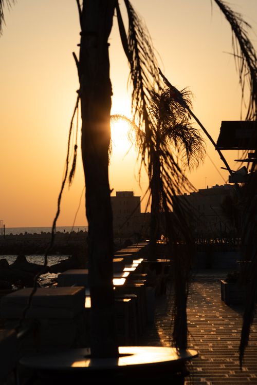 Free Serene sunset view with palm silhouettes at a tropical beachfront location. Stock Photo