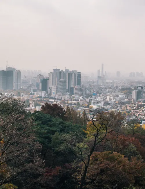 The Ultimate Seoul Budget Travel Guide: Experience Korea for Less