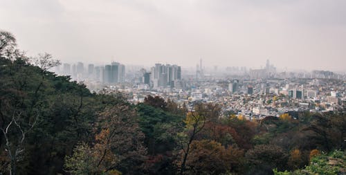 Panorama Della Città E Degli Alberi