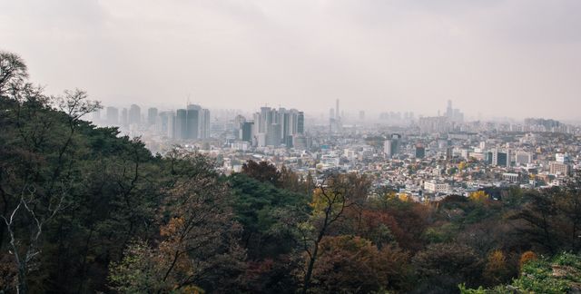 한화오션, 오세아니아서 VLGC 3척 4778억원에 수주
