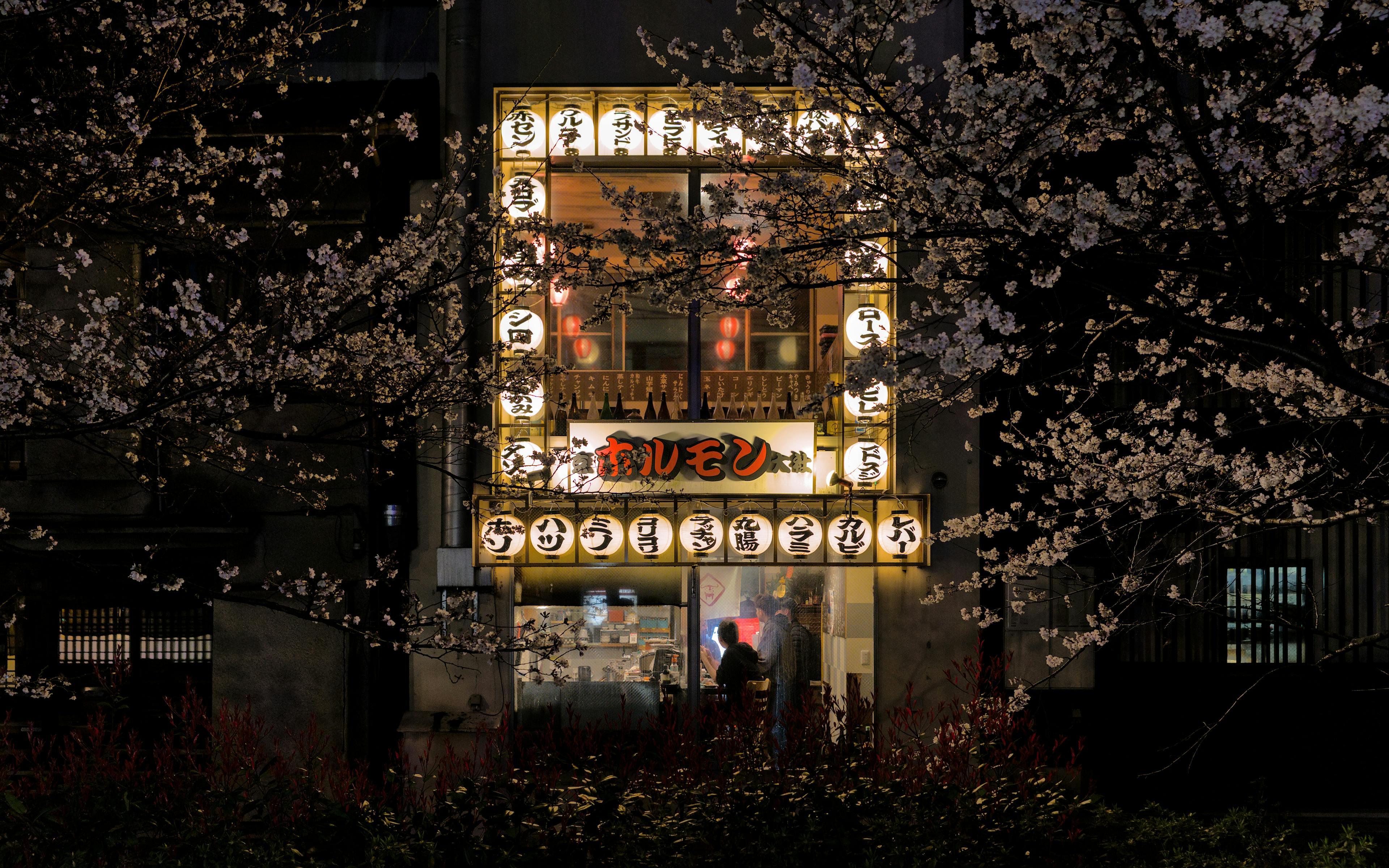 ฟรี ค้นพบบรรยากาศอบอุ่นเป็นกันเองของร้านค้าในเกียวโตที่ประดับประดาด้วยโคมไฟ และรายล้อมไปด้วยดอกซากุระในยามค่ำคืน คลังภาพถ่าย