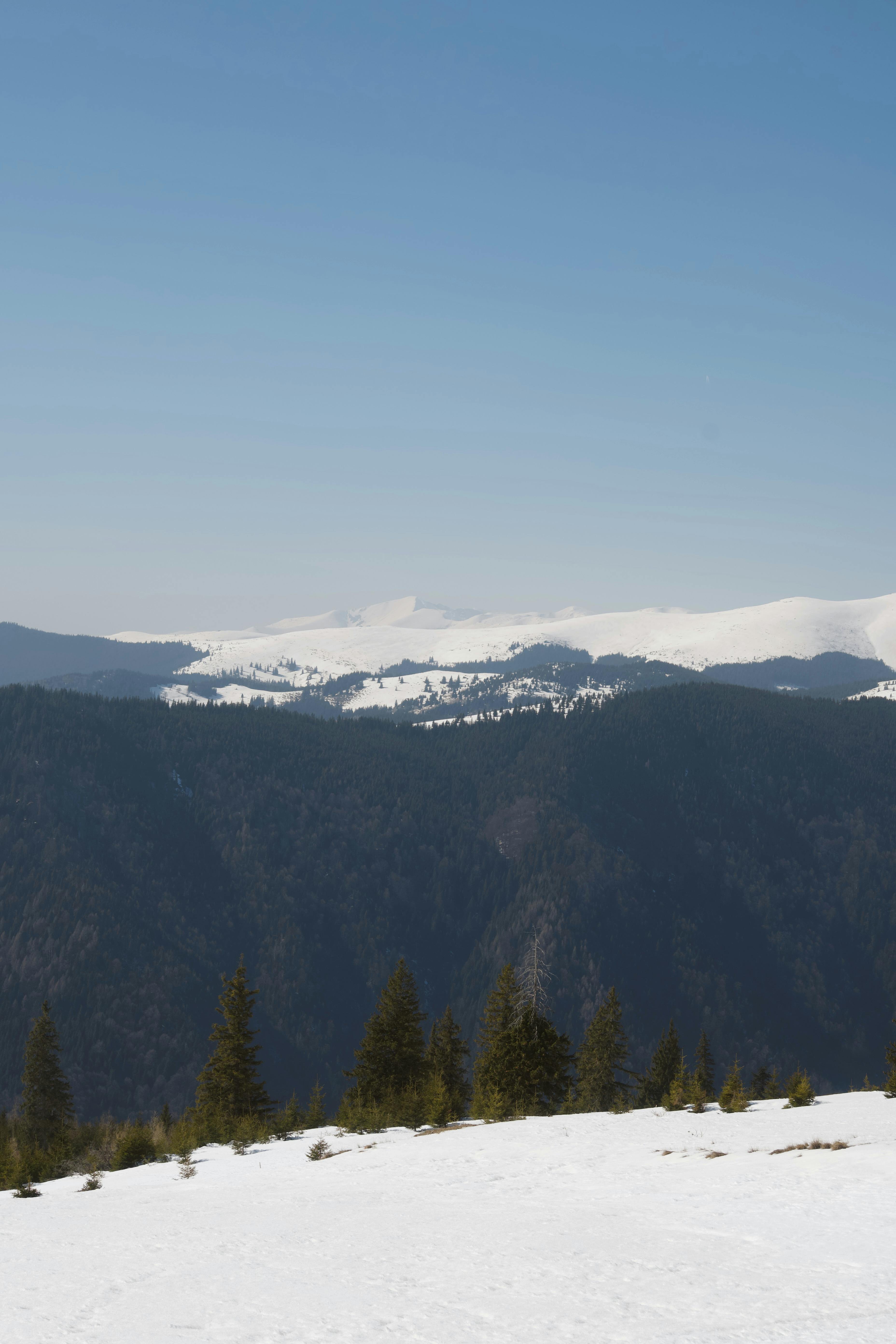 免费 湛蓝的天空下，白雪皑皑的群山和森林覆盖的山谷构成了一幅令人叹为观止的景象。 素材图片