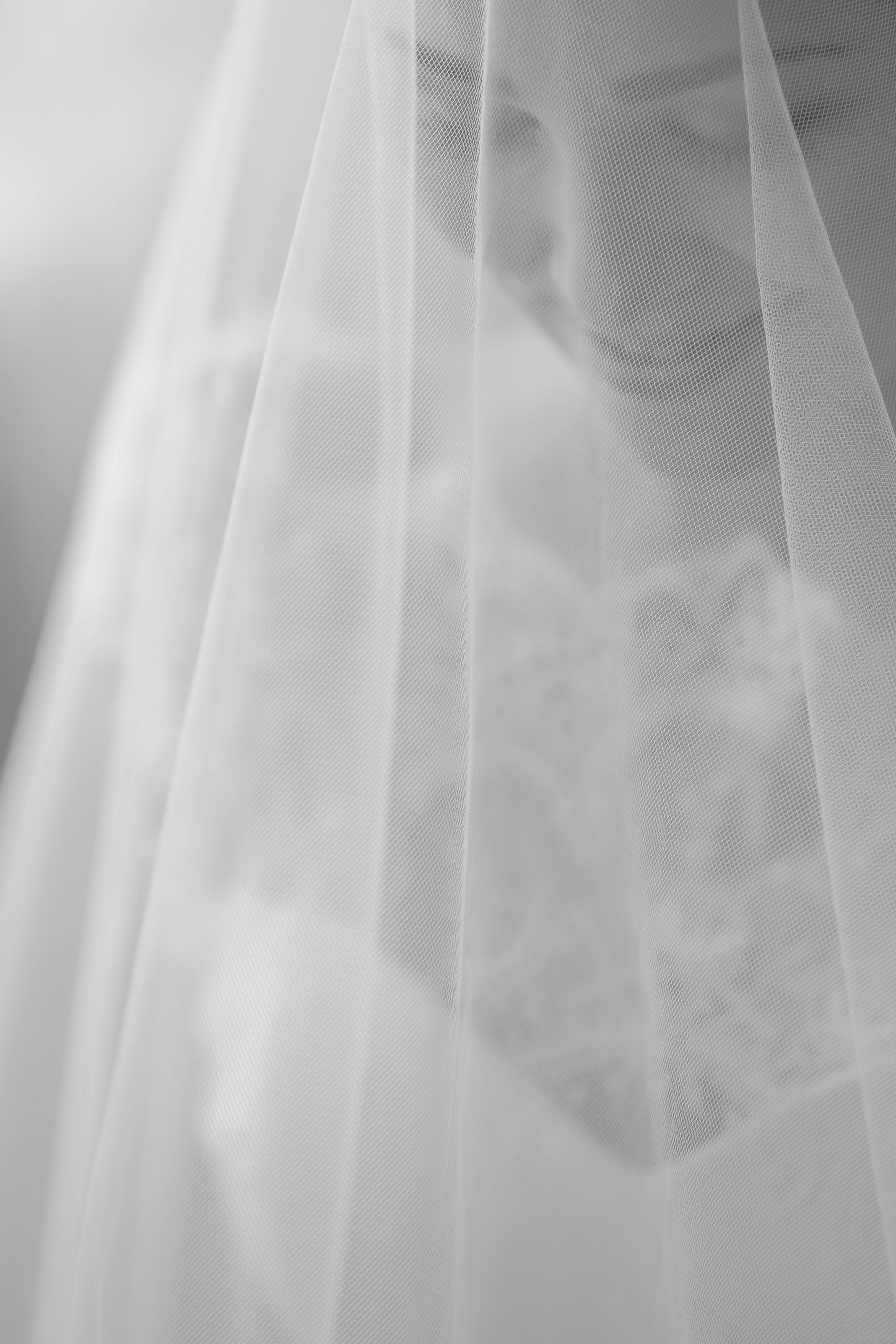 Novia editorial