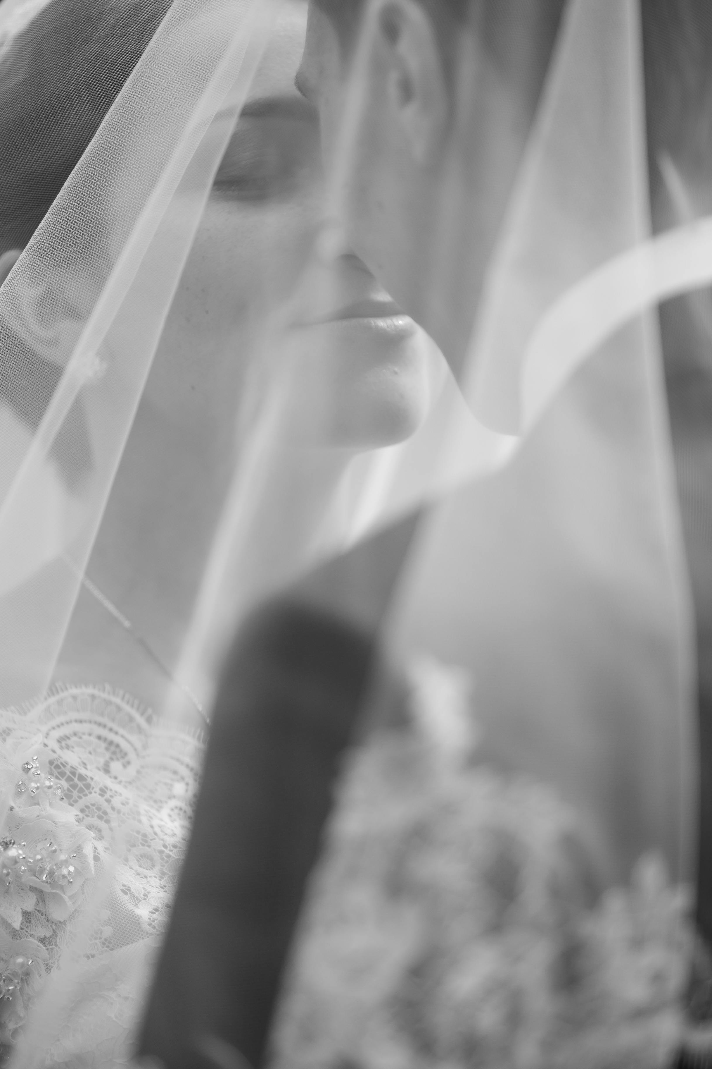 Zadarmo Jemná čiernobiela fotografia nevesty a ženícha, ktorí sa romanticky bozkávajú pod svadobným závojom. Fotka z fotobanky