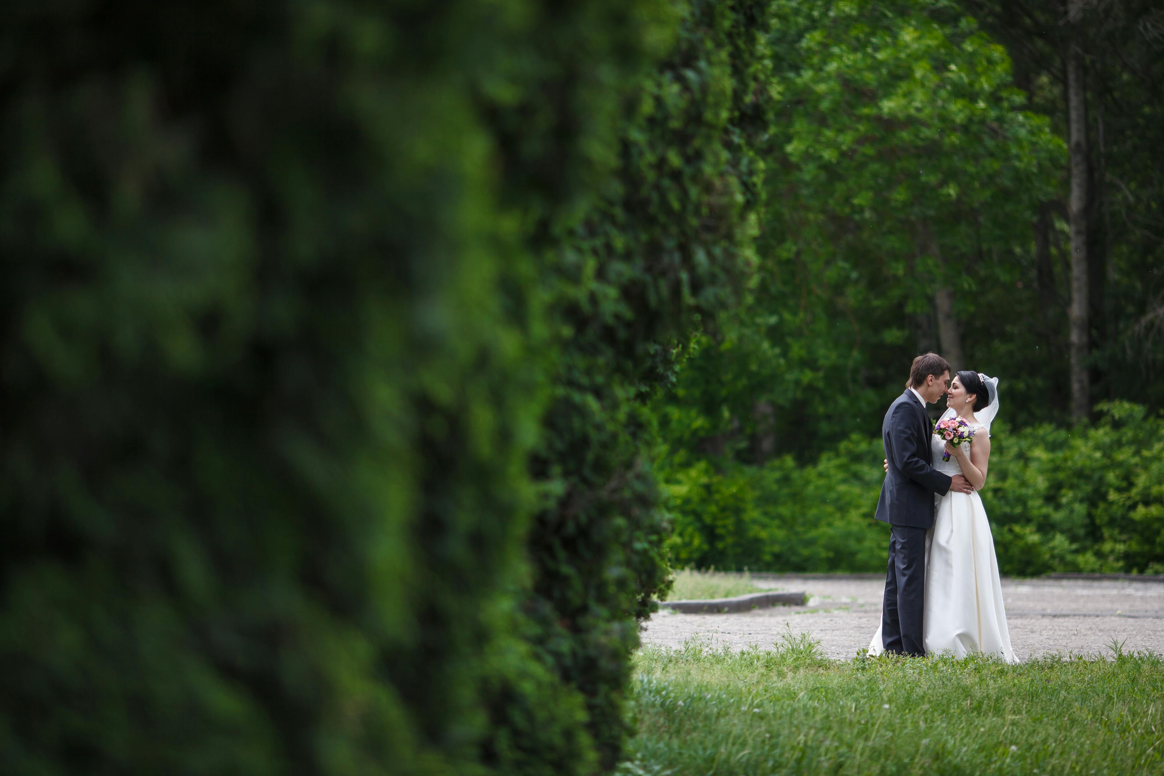 Inaugural Love in Motion Wedding and Event Fair comes to the Ballroom of Reno - KOLO — Photo by Alexandr Molokov on Pexels