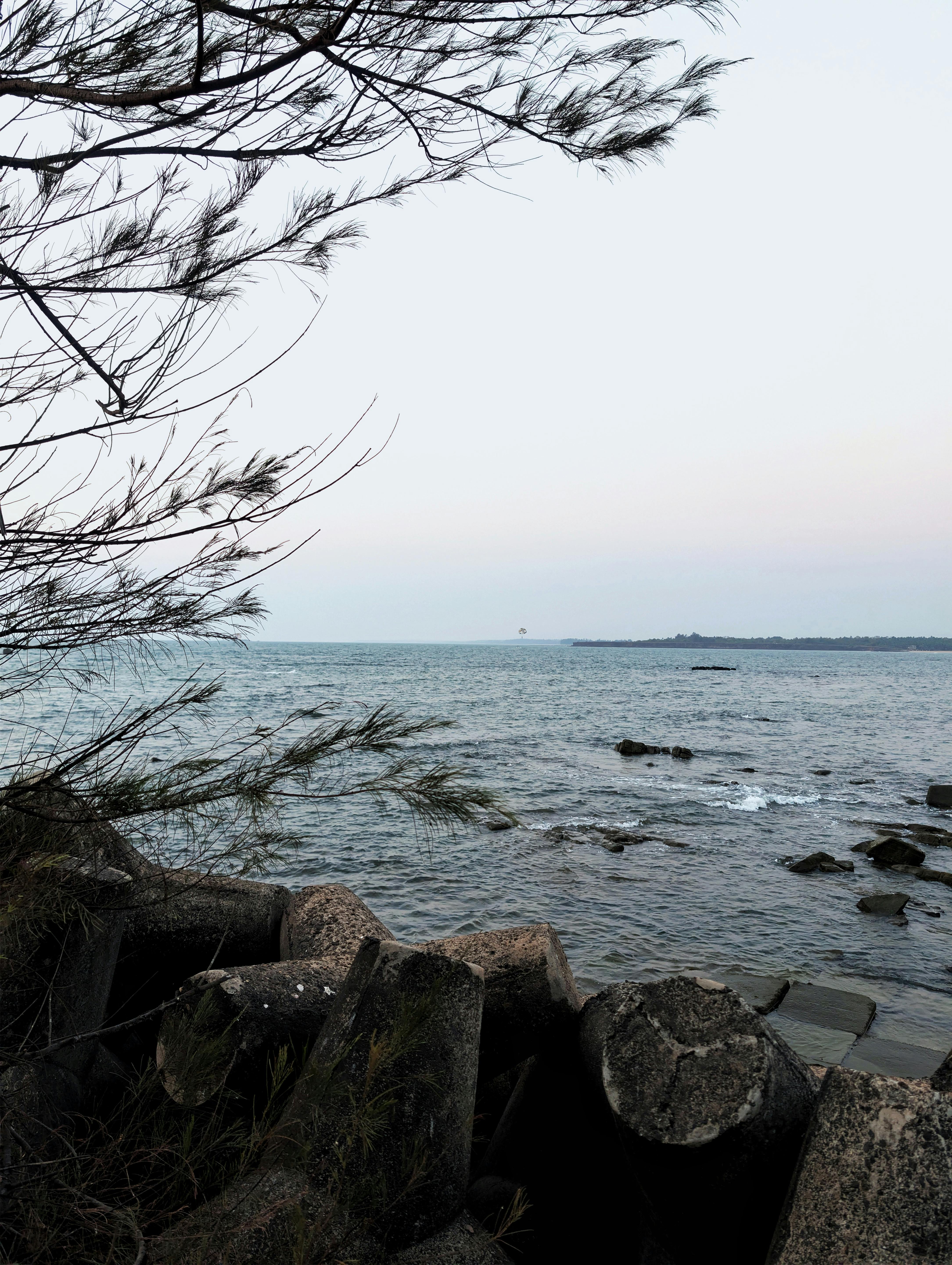Zadarmo Pokojná pobrežná krajina s vlnolamom a konármi stromov na pozadí pokojného výhľadu na more. Fotka z fotobanky