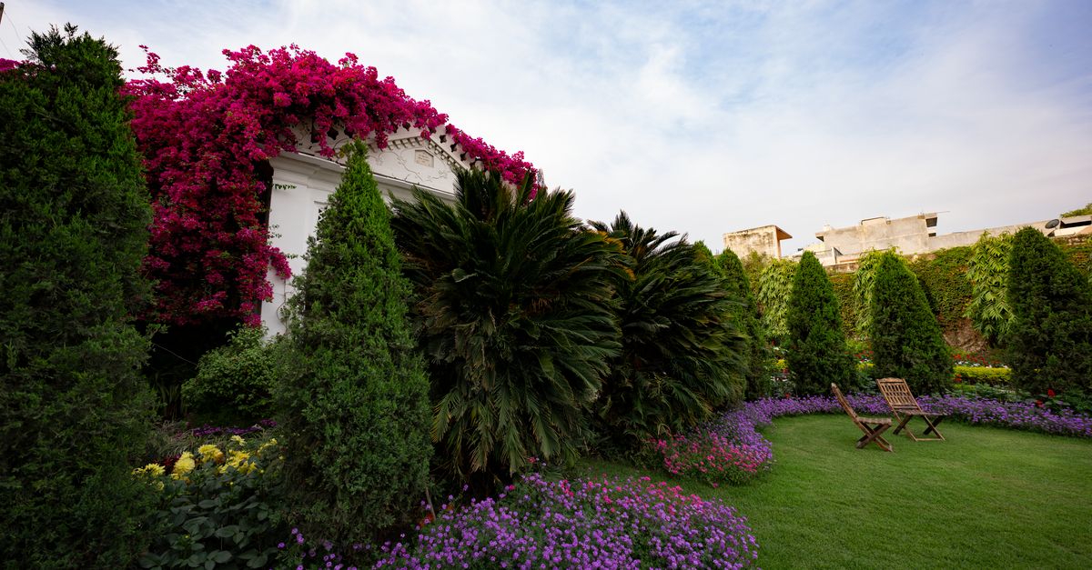 Come Creare un Giardino Resistente alle Malattie