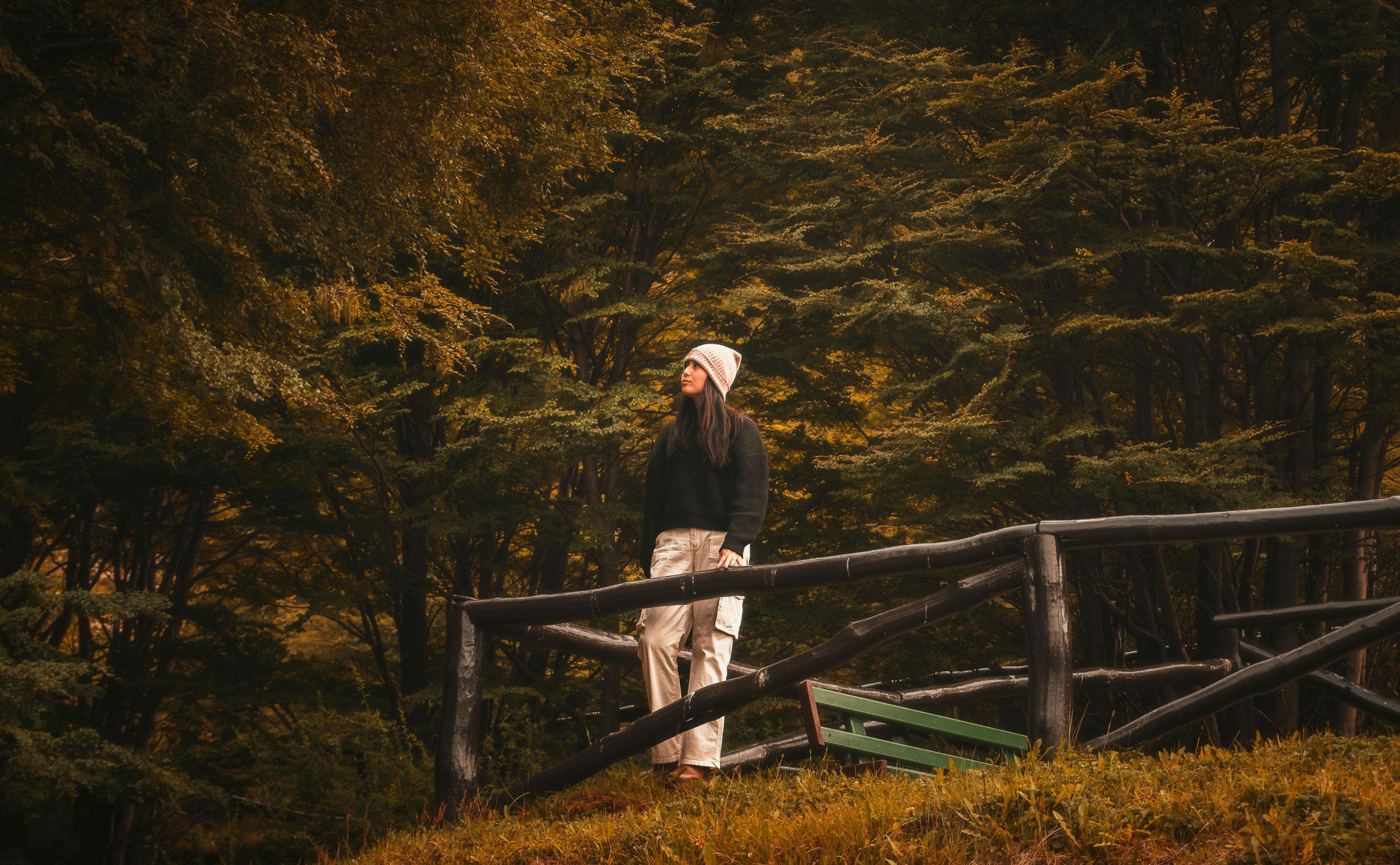 Kostenlos Eine Frau steht an einem Herbsttag in einem Wald in Ushuaia, Argentinien, umgeben von üppigen Bäumen. Stock-Foto