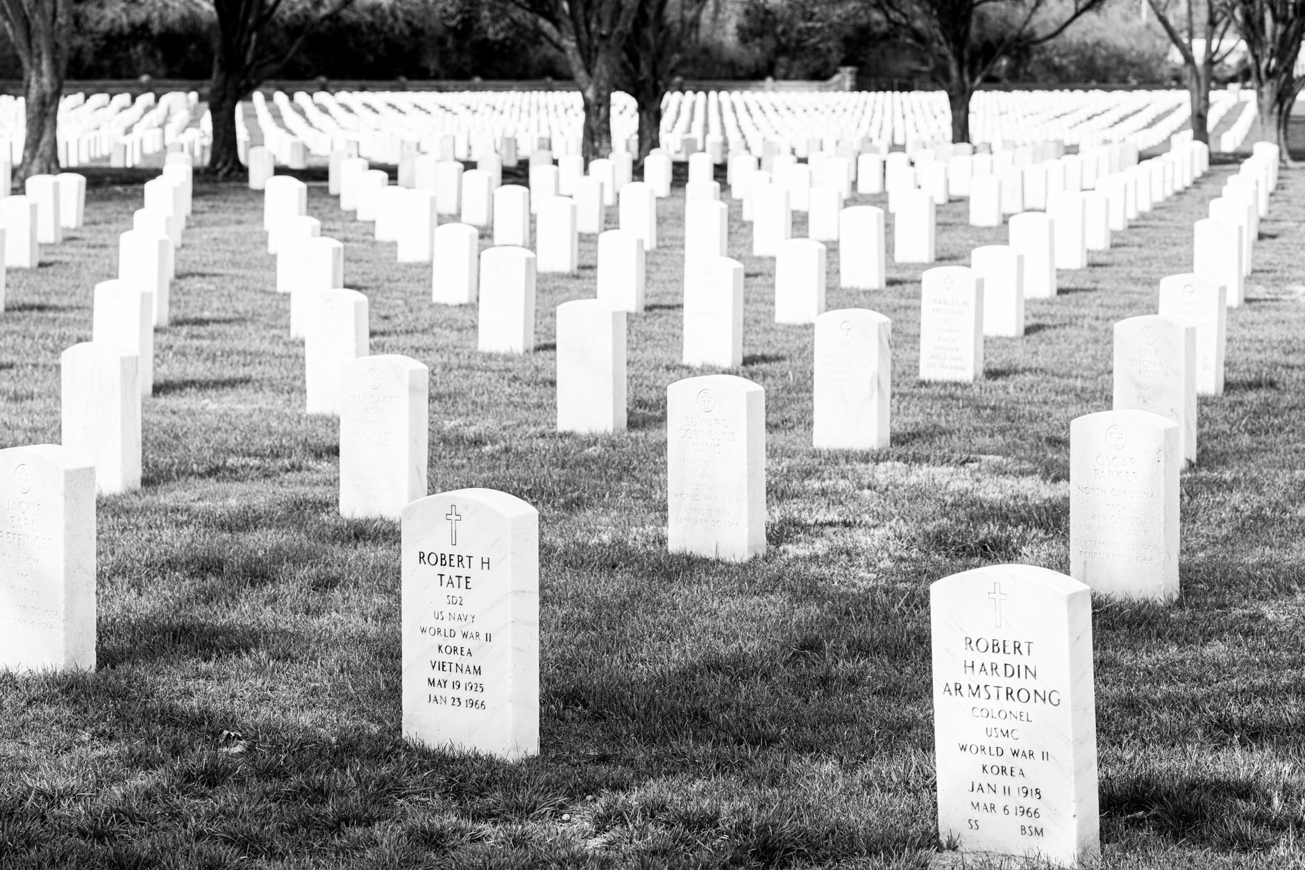 Black and white image of a military cemetery with rows of uniform headstones under trees in Hampton, Virginia.