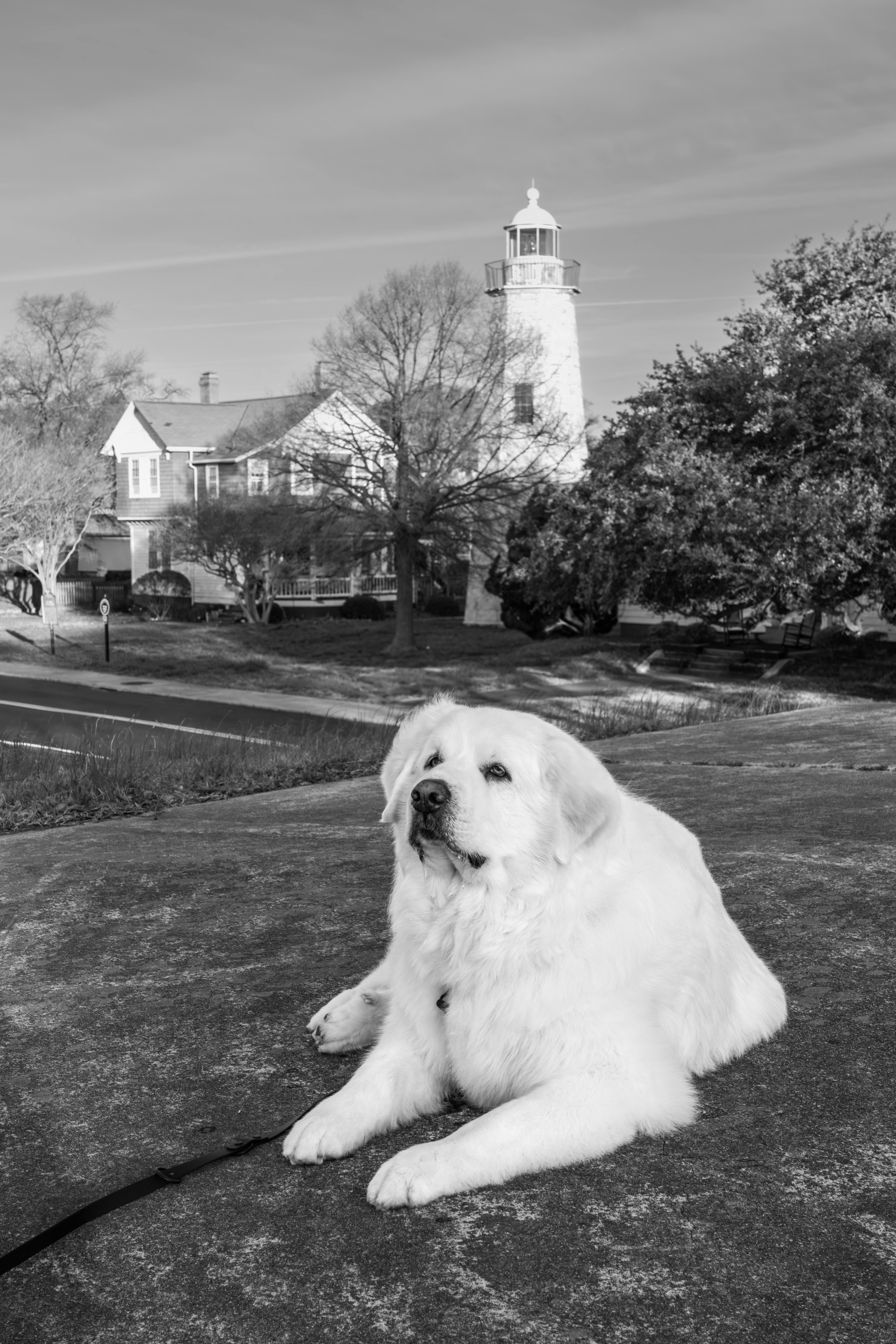 免费 休息, 优美的风景, 冬季 的 免费素材图片 素材图片