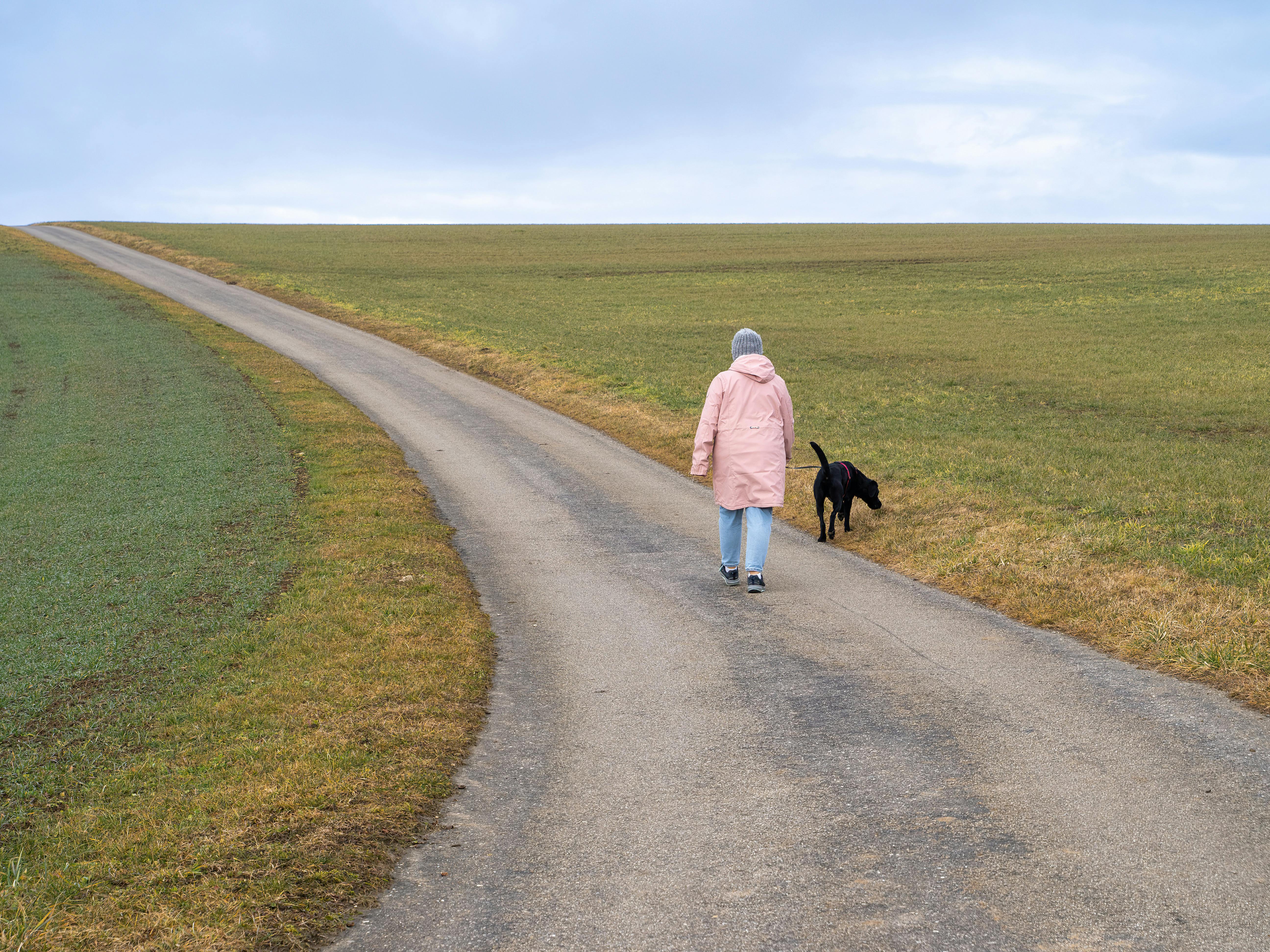 Zadarmo Osoba venčiaca psa po kľukatej vidieckej ceste pod zamračenou oblohou. Fotka z fotobanky