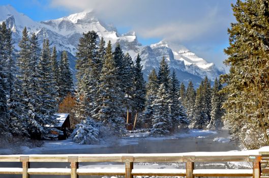 A stunning winter scene of snow-covered trees and mountains in Banff National Park, Alberta.