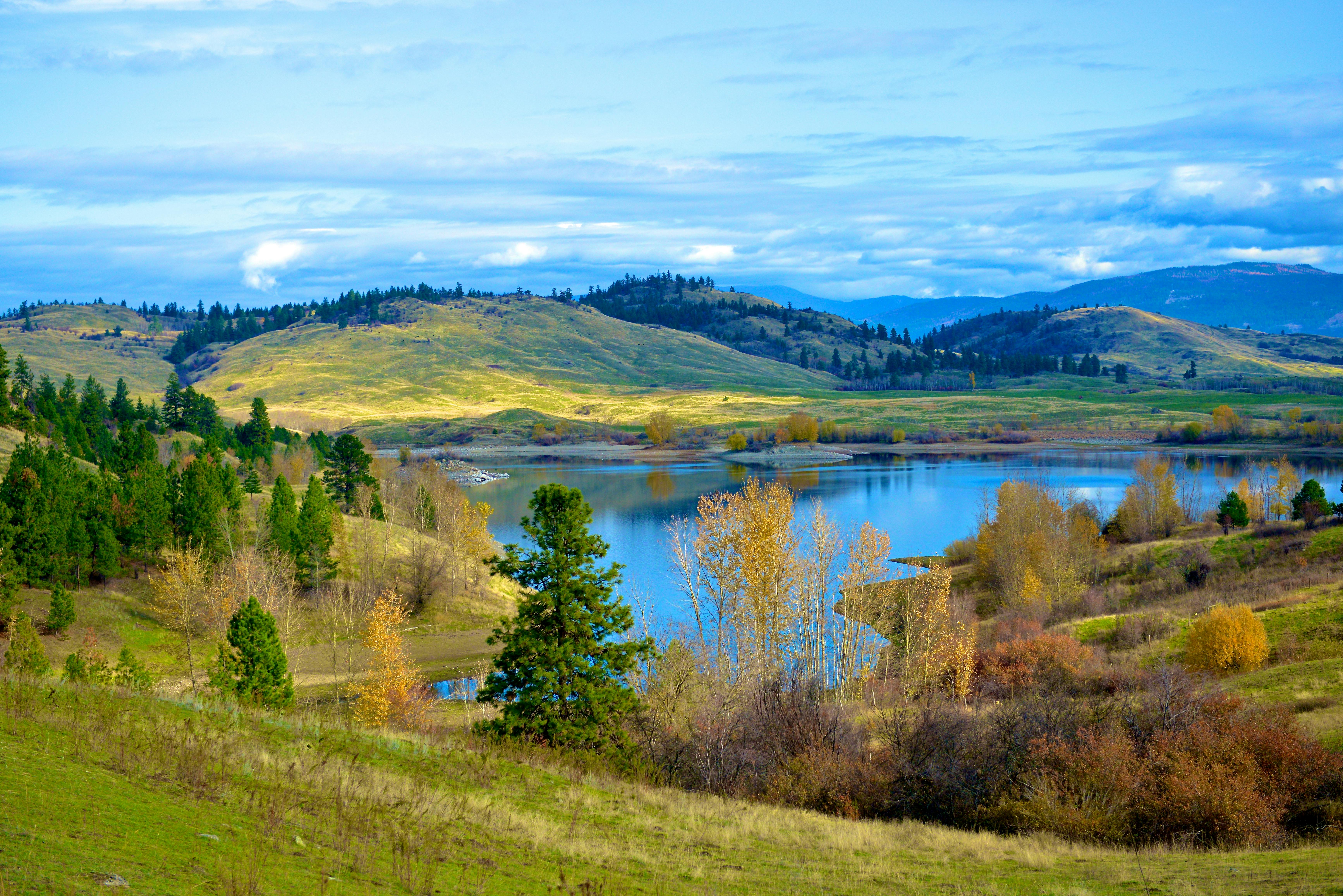 Fort A.P. Hill Outdoor Recreation Manager Recognized among Army’s Best — Photo by Jack Borno on Pexels