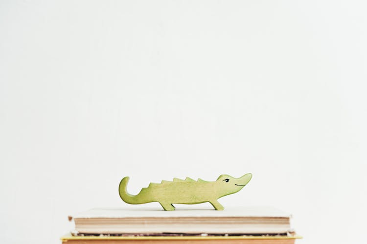 Green Crocodile On Books