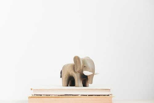  Animal Figurine on Books