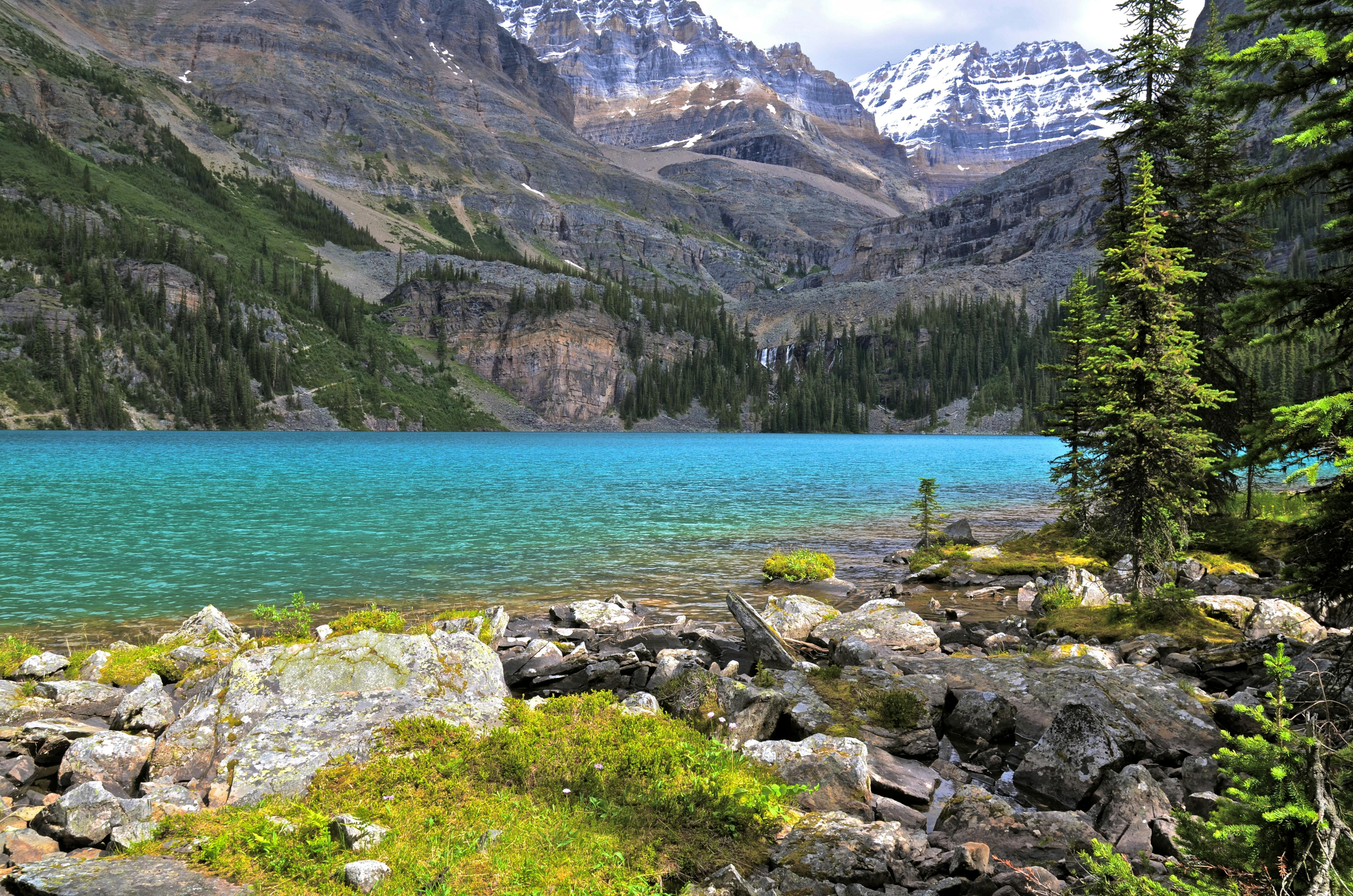 무료 캐나다 로키 산맥의 울창한 숲과 웅장한 산으로 둘러싸인 에메랄드빛 호수의 숨막히는 절경. 스톡 사진