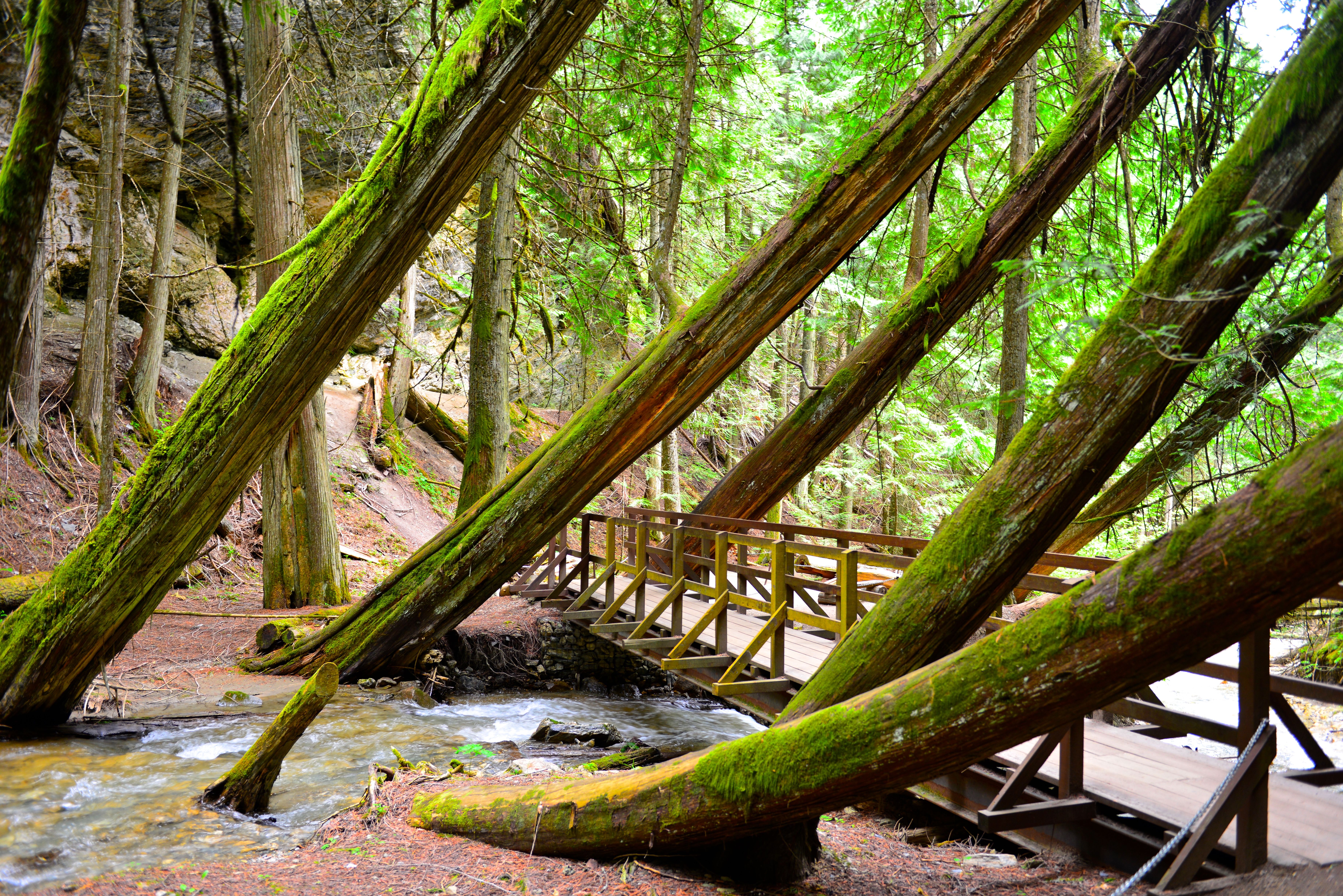 Cedar Creek