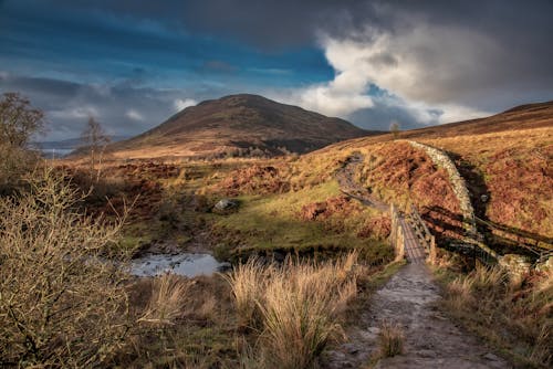 Free stock photo of balmaha, footbridge, hiking