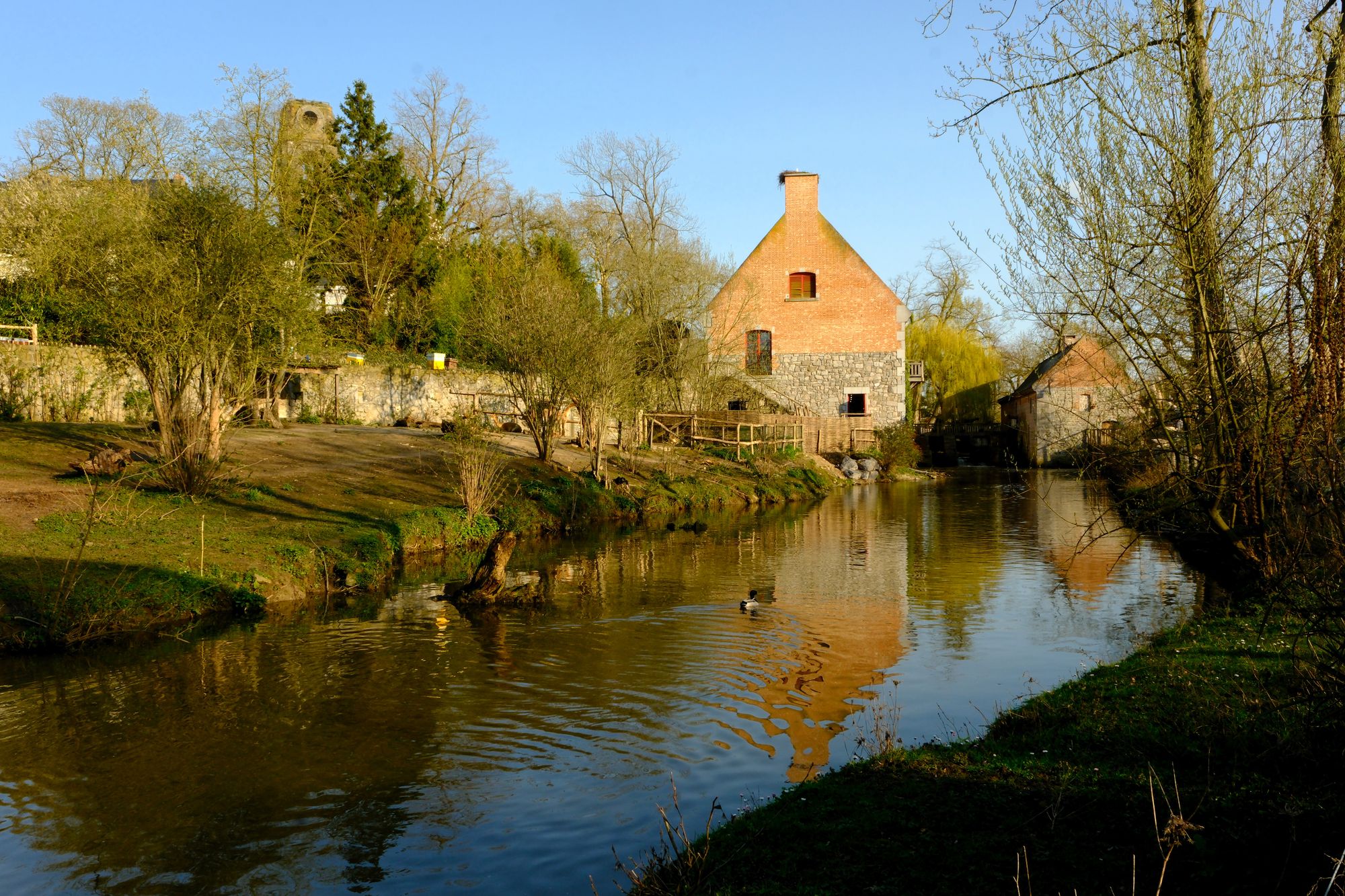 Breda