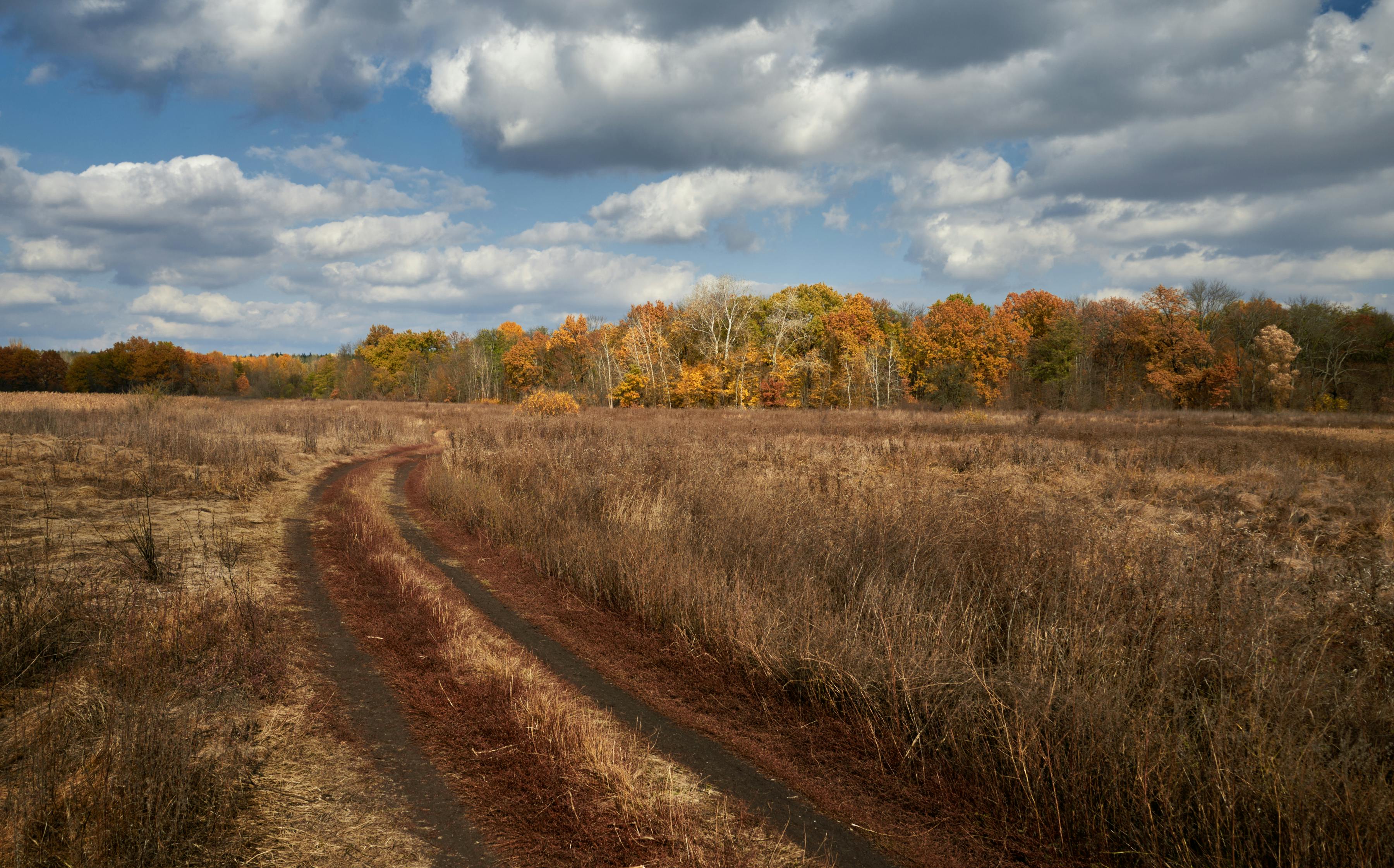 Polsko-niemiecki wyjazd studyjny o gospodarce odpadami — 30 uczestników w Brandenburgii