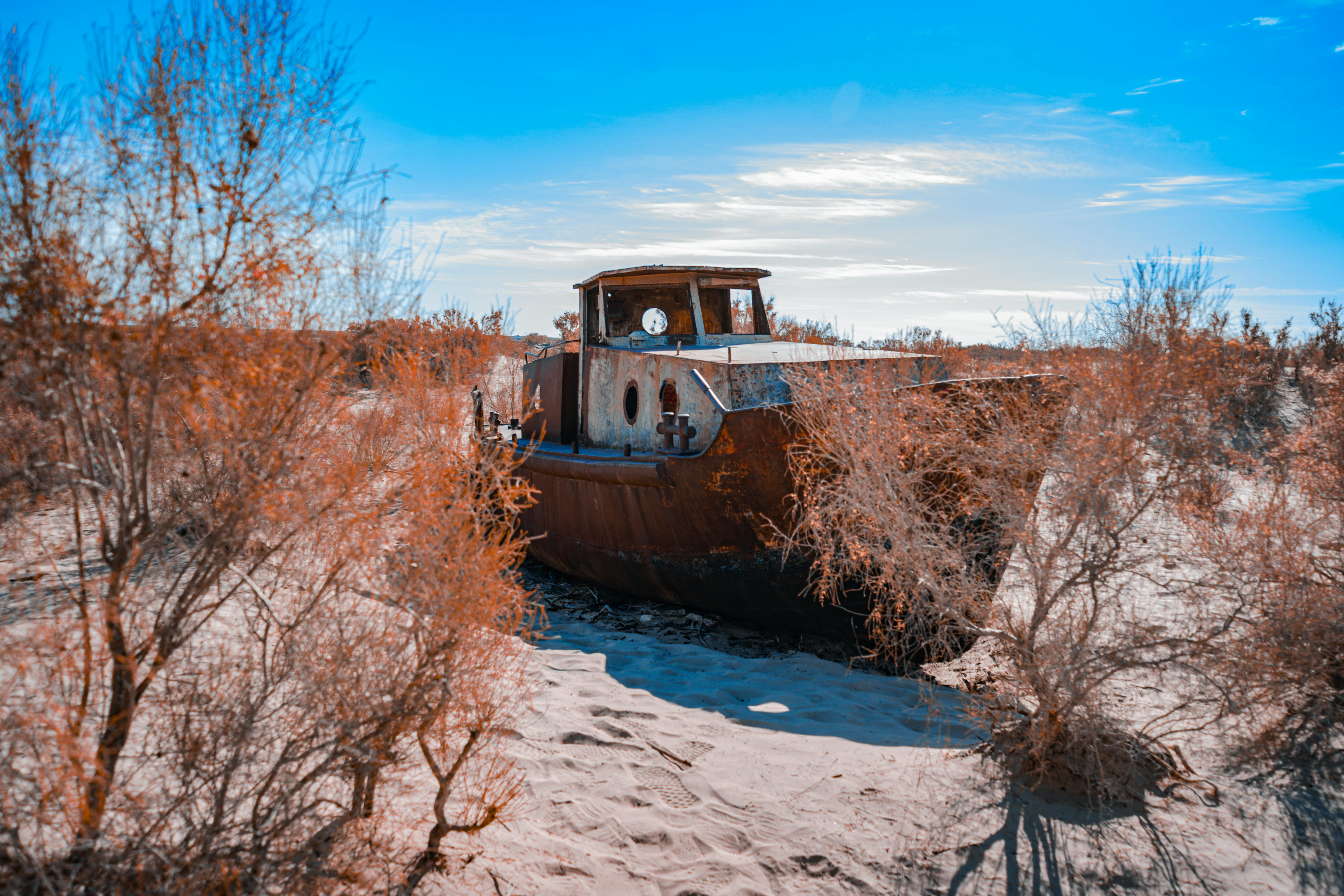 免費 2025年, 下降, 乾旱 的 免費圖庫相片 圖庫相片