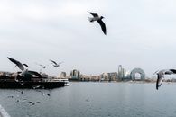 Quarry Bay