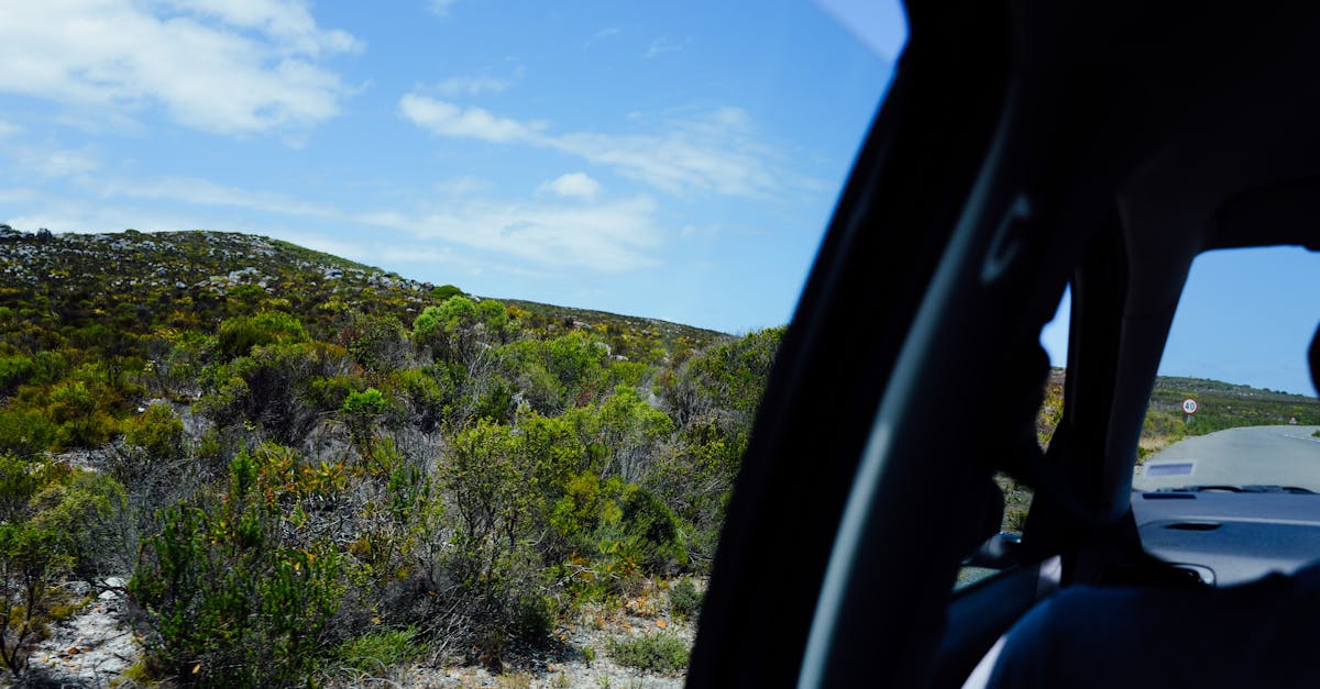 Les avantages du covoiturage pour l'écologie
