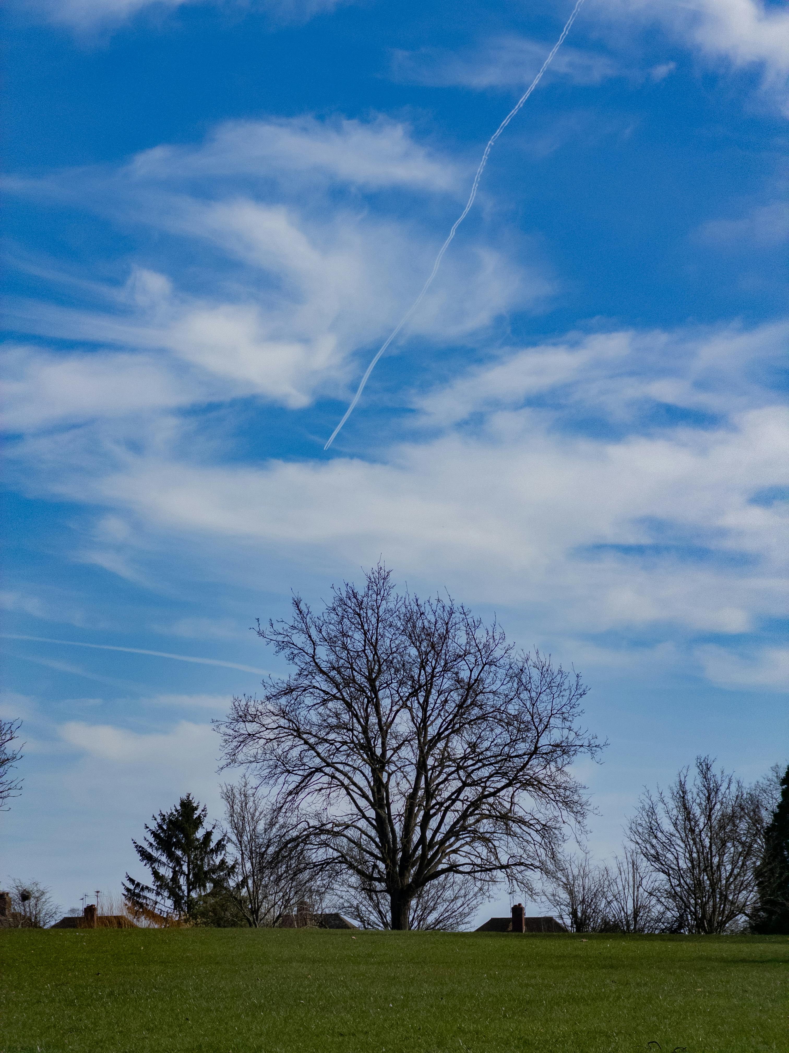 Безкоштовне Спокійна сцена на свіжому повітрі з голими деревами на тлі яскравого блакитного неба з хмарами та інверсійним слідом. стокове фото